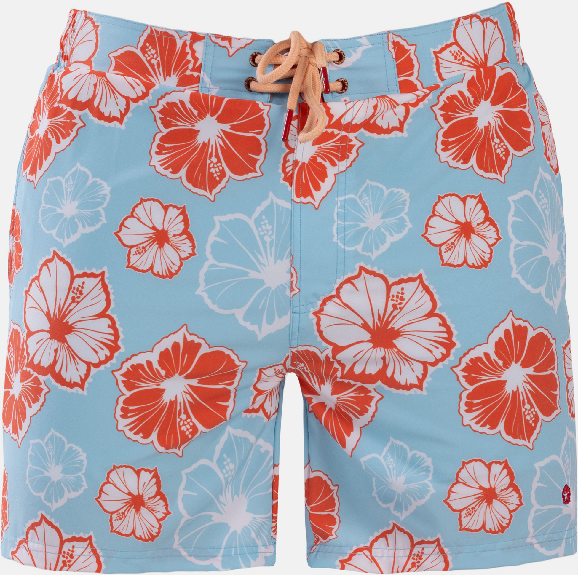 FROZEN CAPE, Ribeira