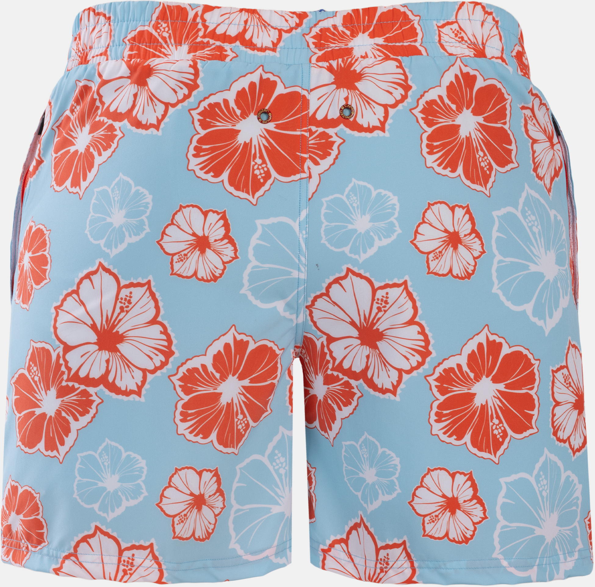 FROZEN CAPE, Ribeira