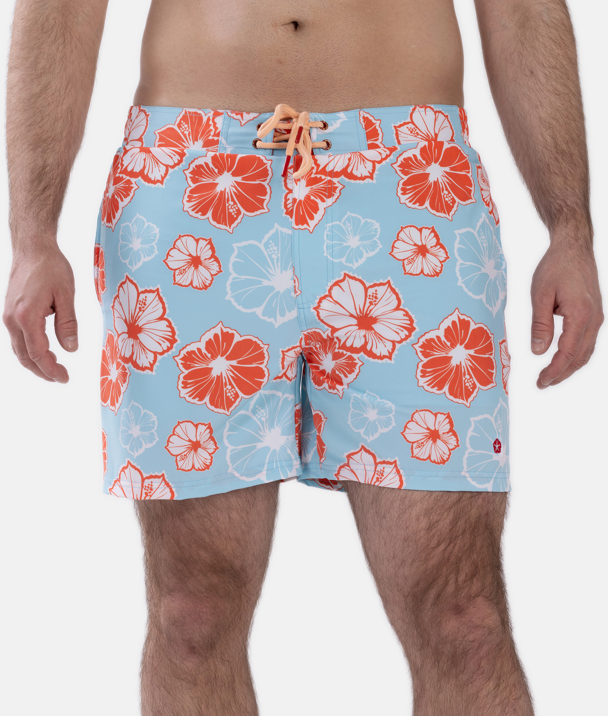 FROZEN CAPE, Ribeira