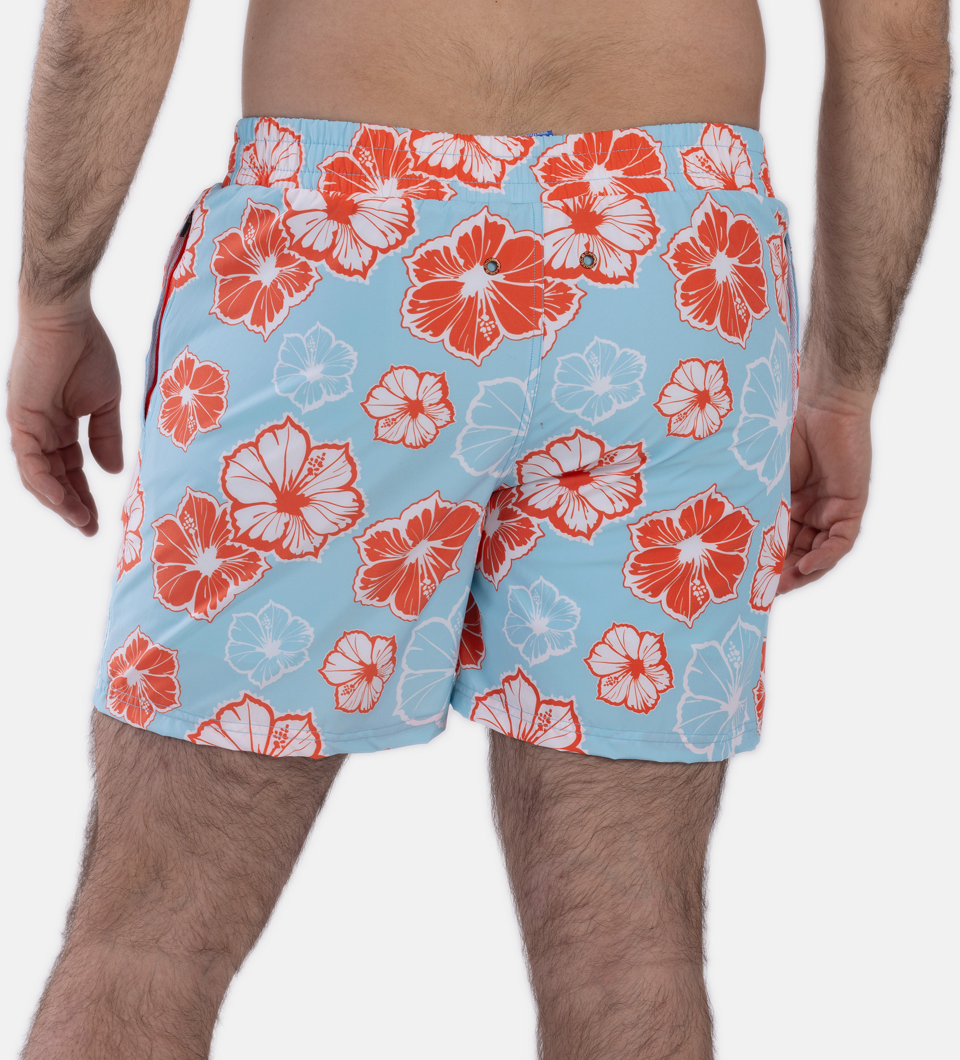 FROZEN CAPE, Ribeira