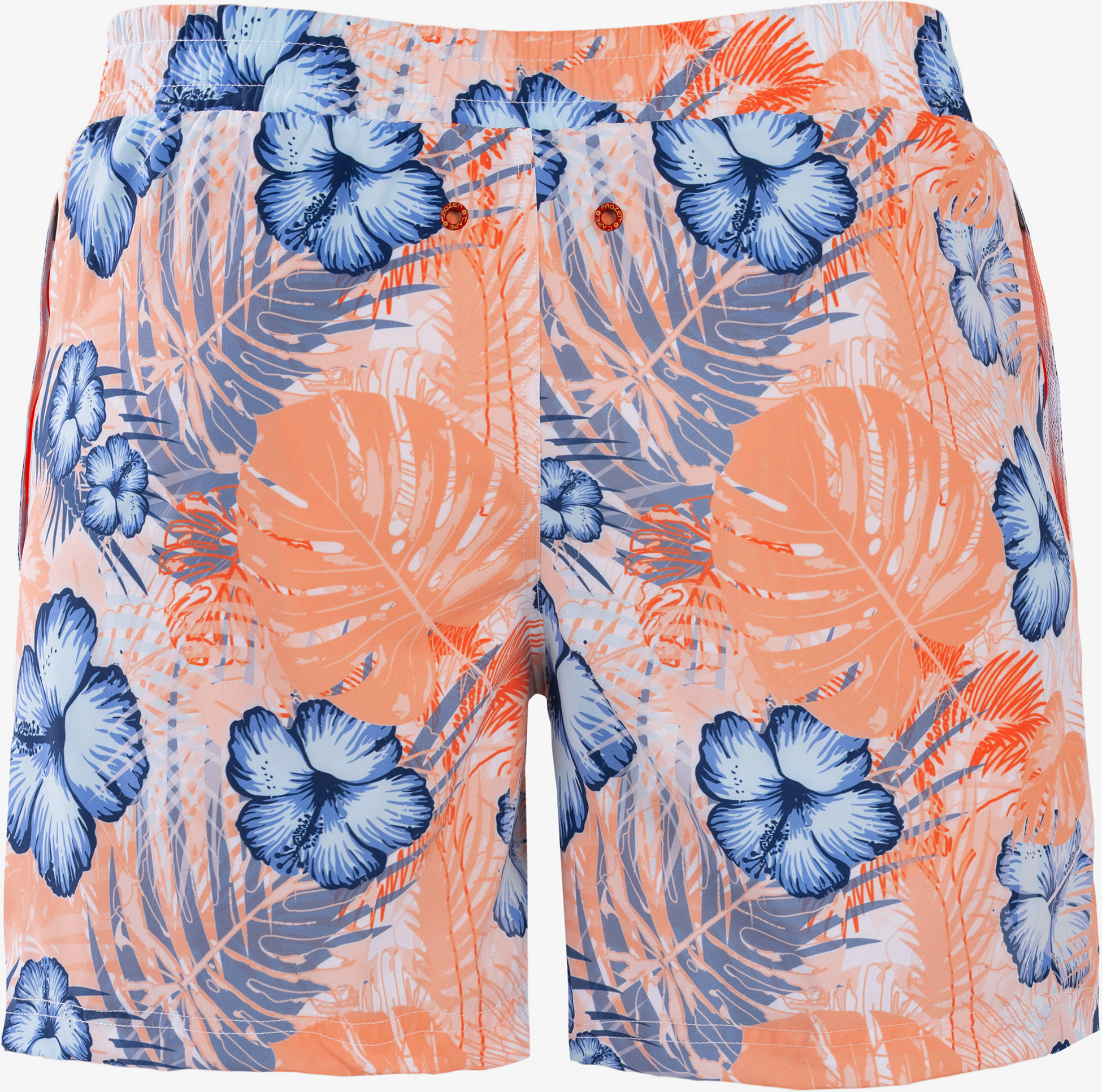 FROZEN CAPE, Ribeira