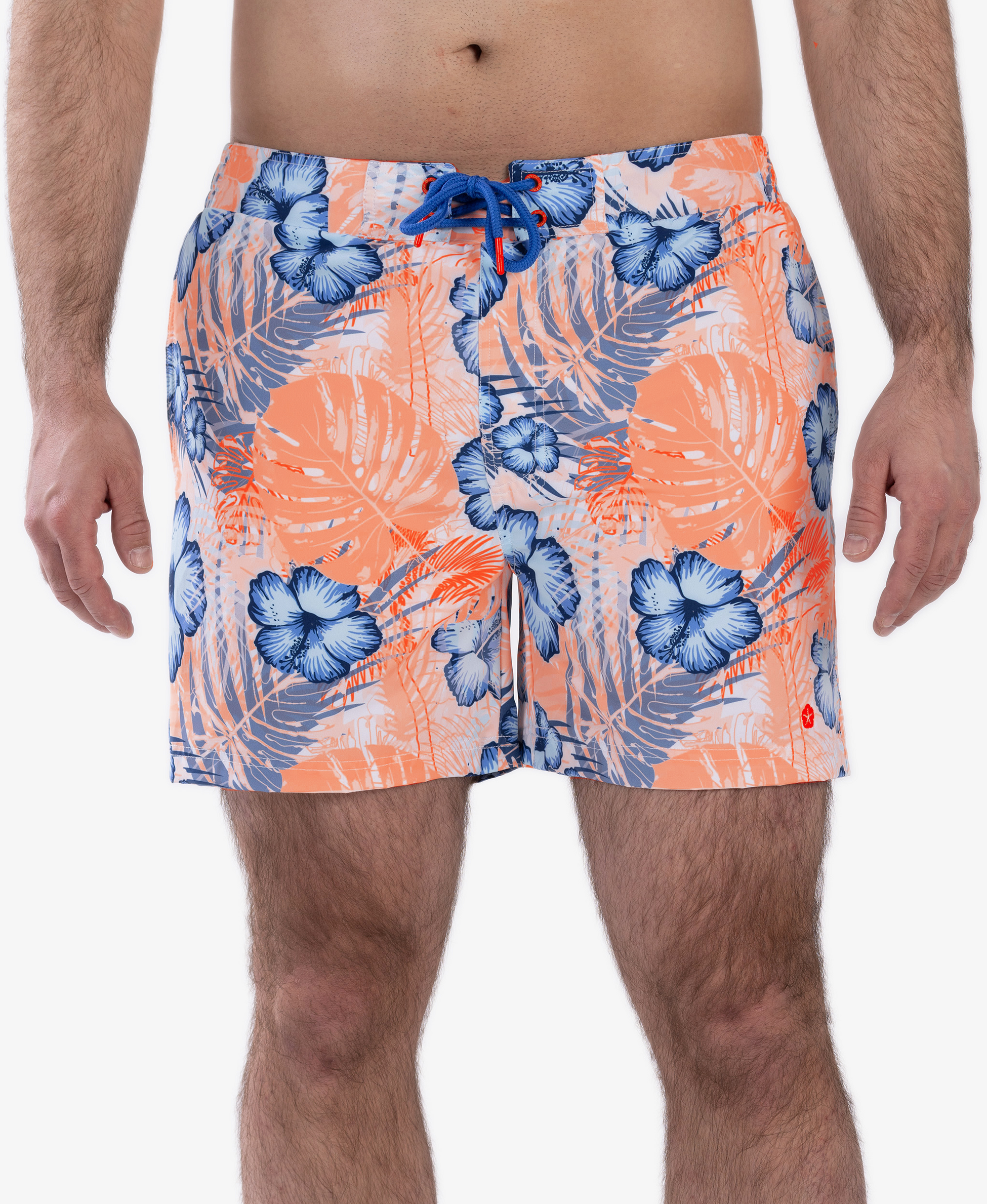 FROZEN CAPE, Ribeira