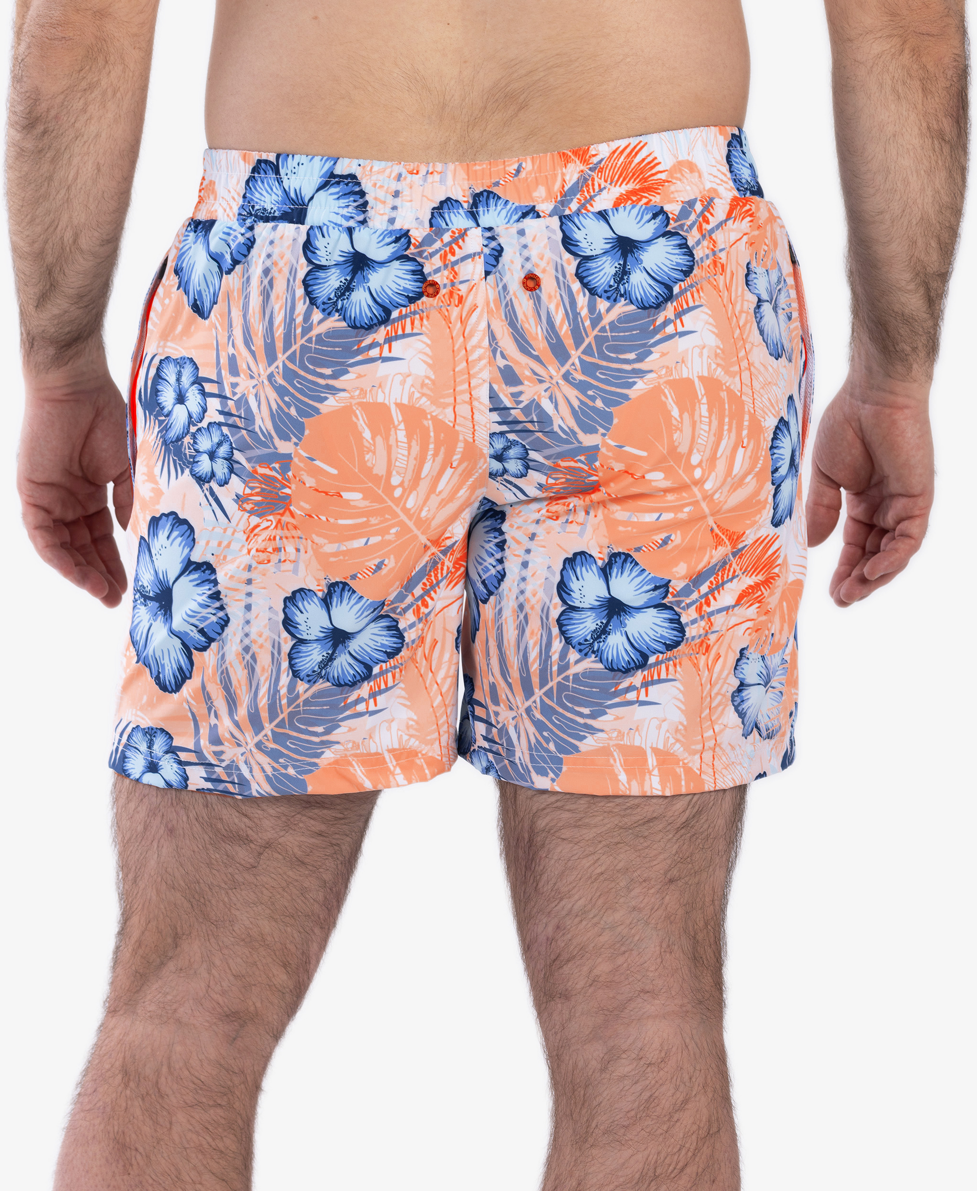 FROZEN CAPE, Ribeira