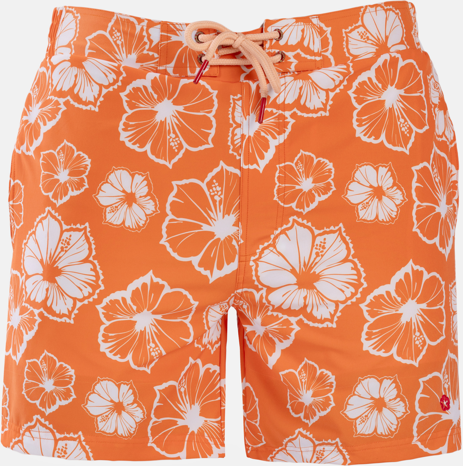 FROZEN CAPE, Ribeira