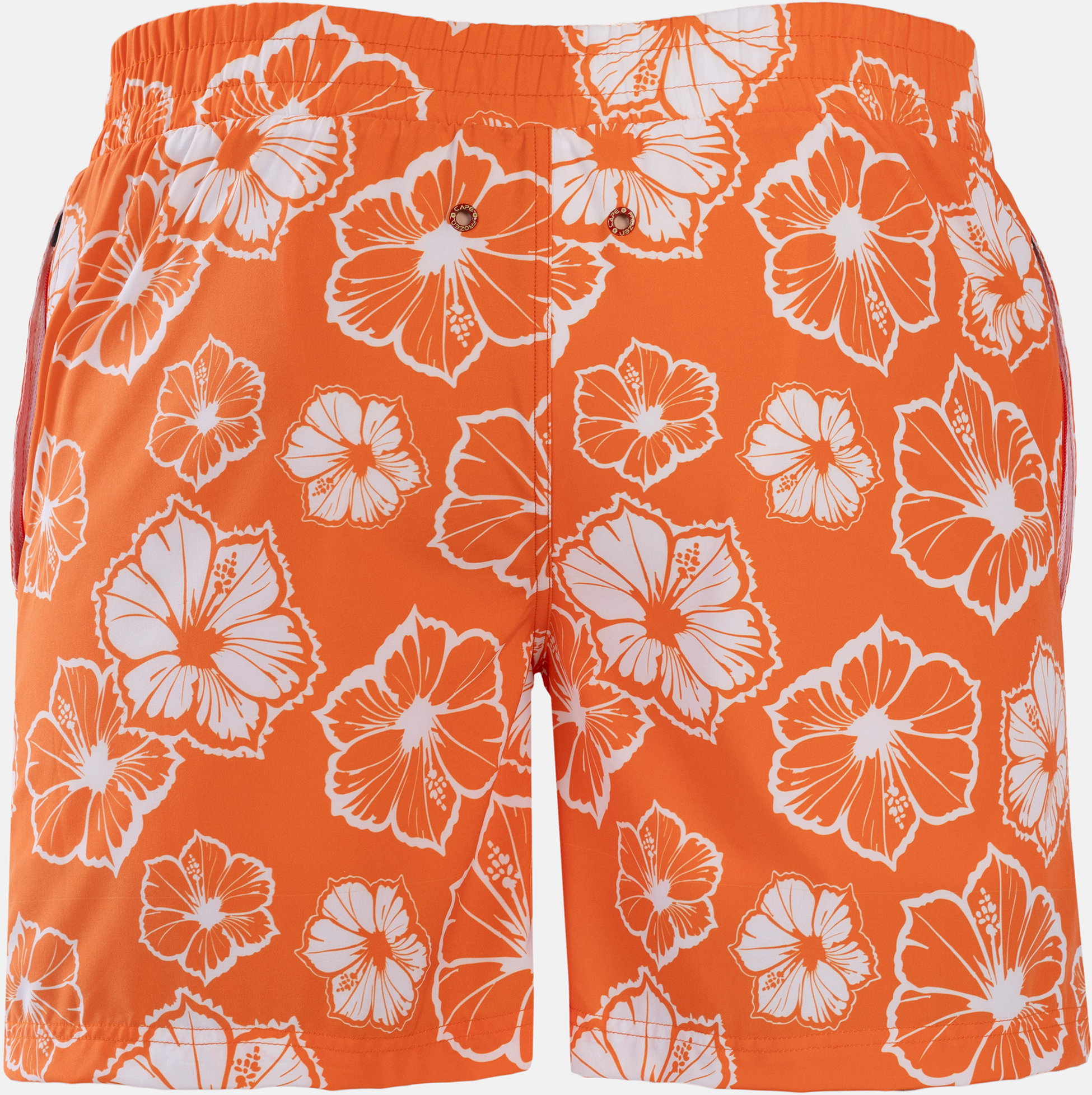 FROZEN CAPE, Ribeira