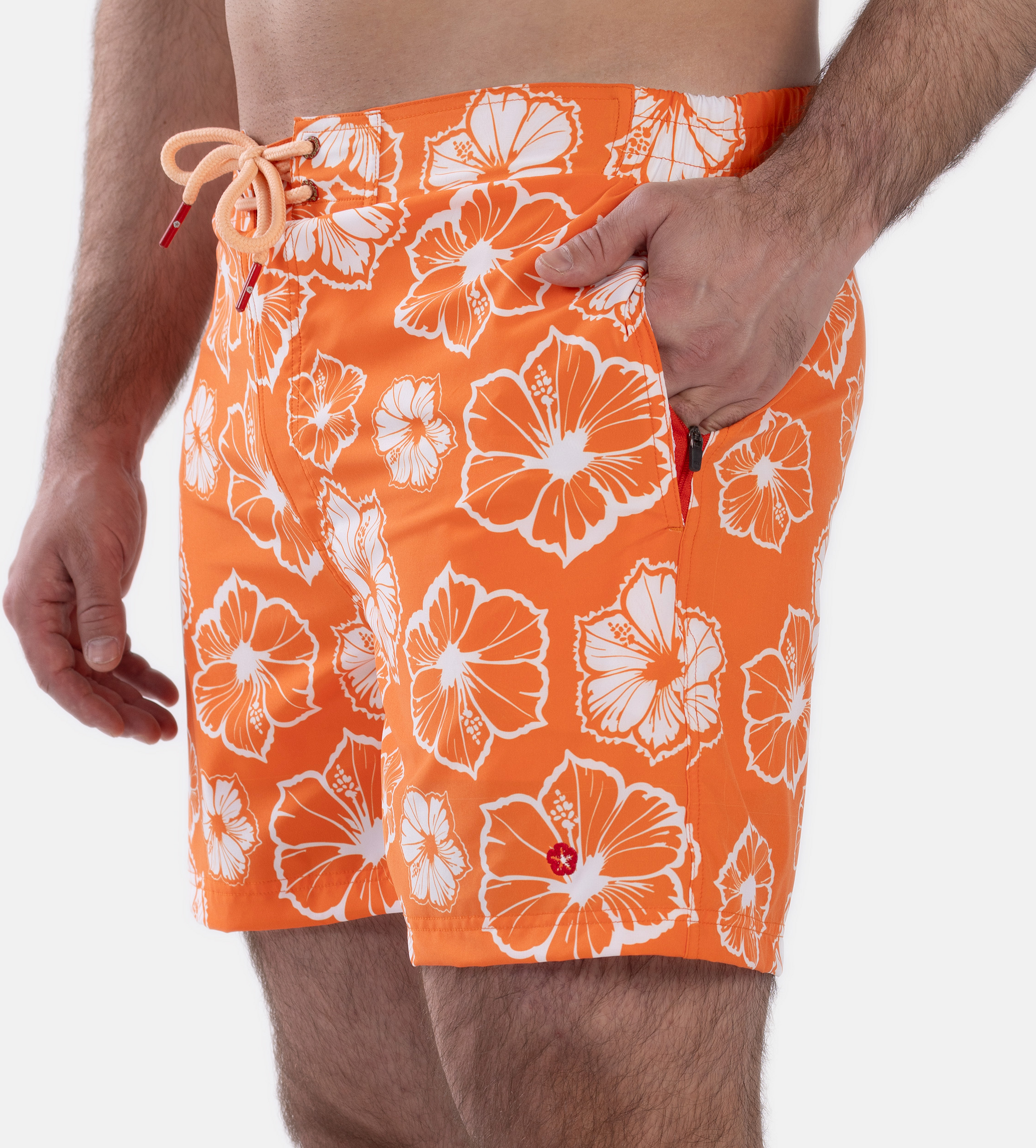 FROZEN CAPE, Ribeira