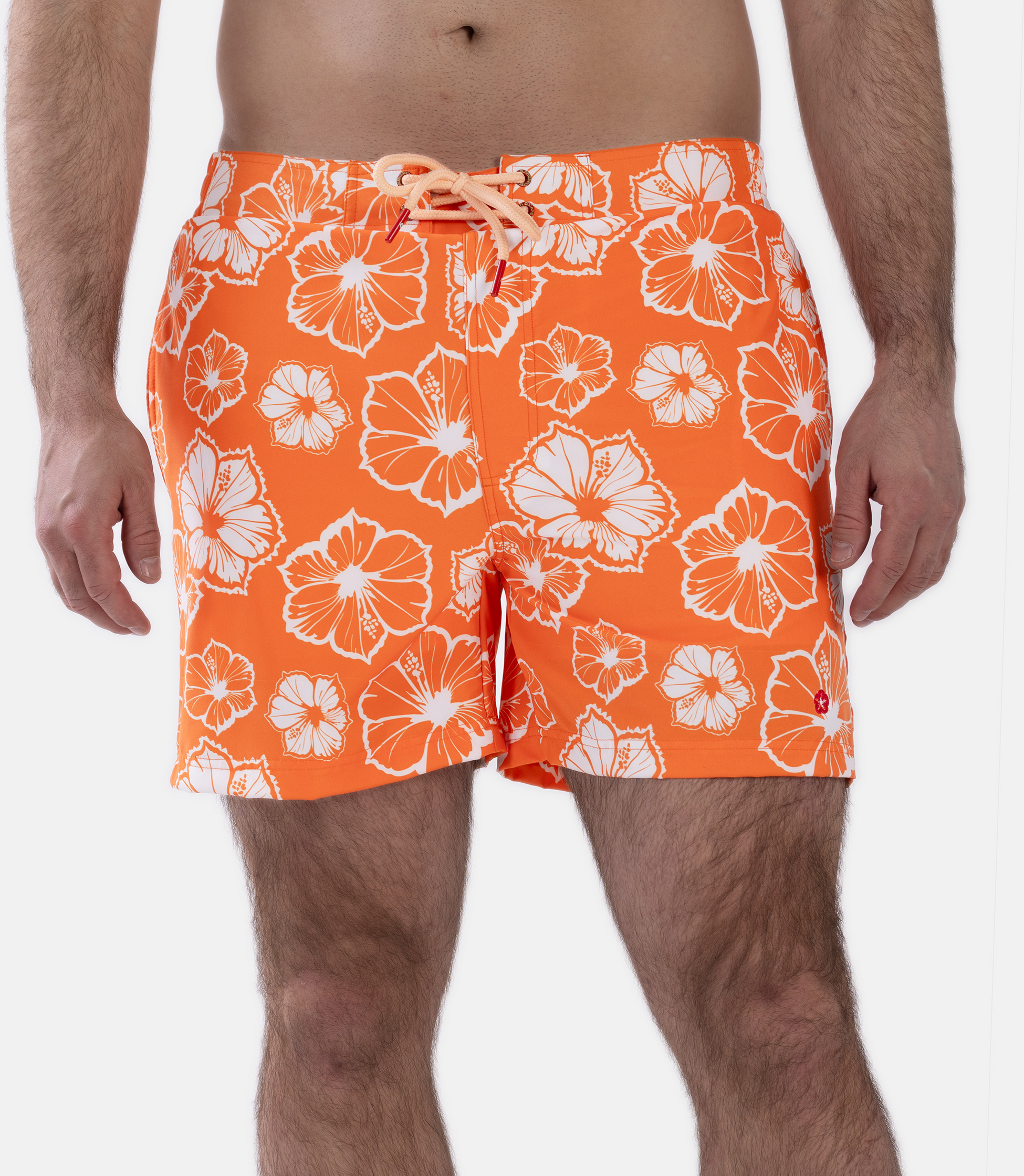 FROZEN CAPE, Ribeira