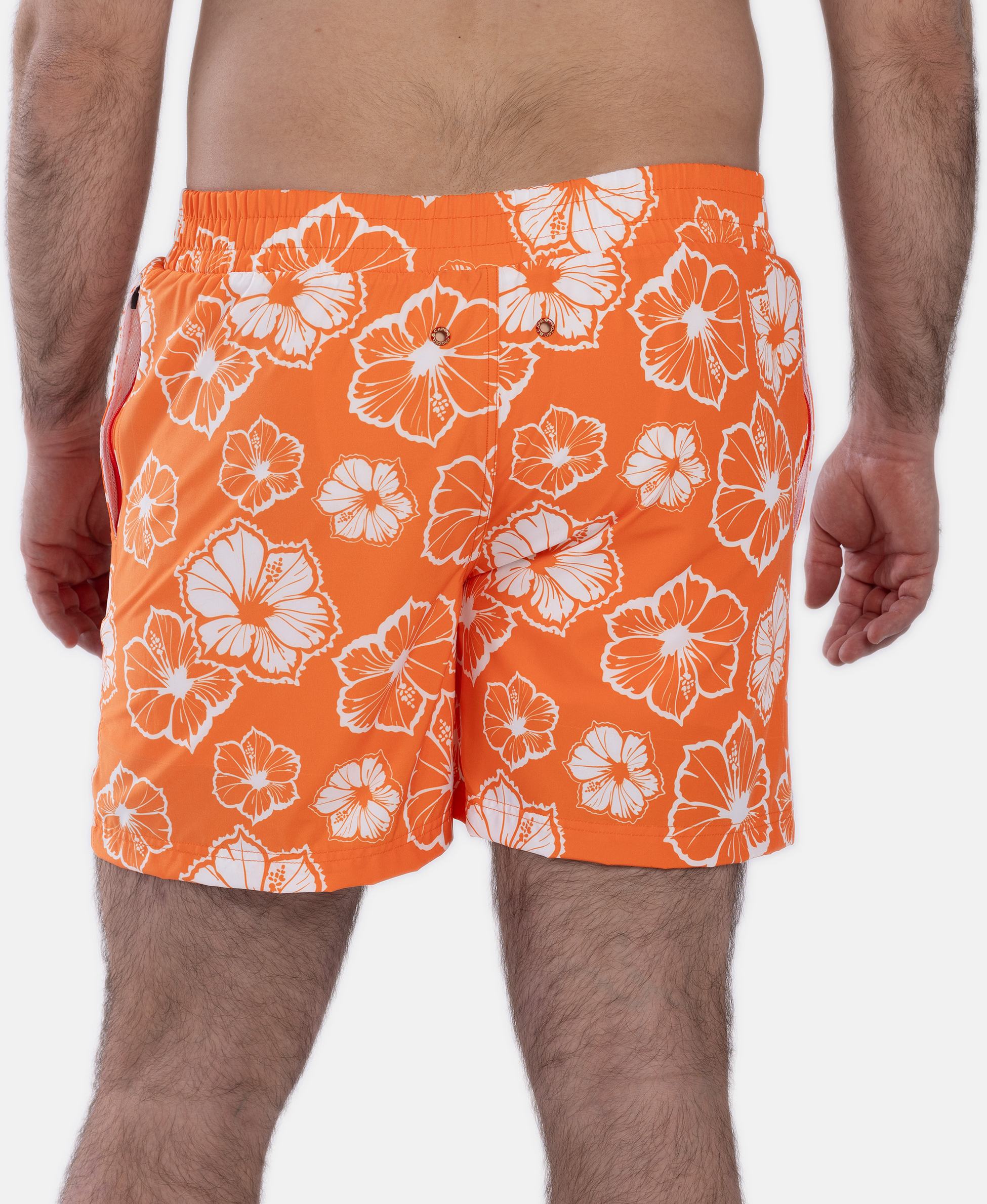 FROZEN CAPE, Ribeira