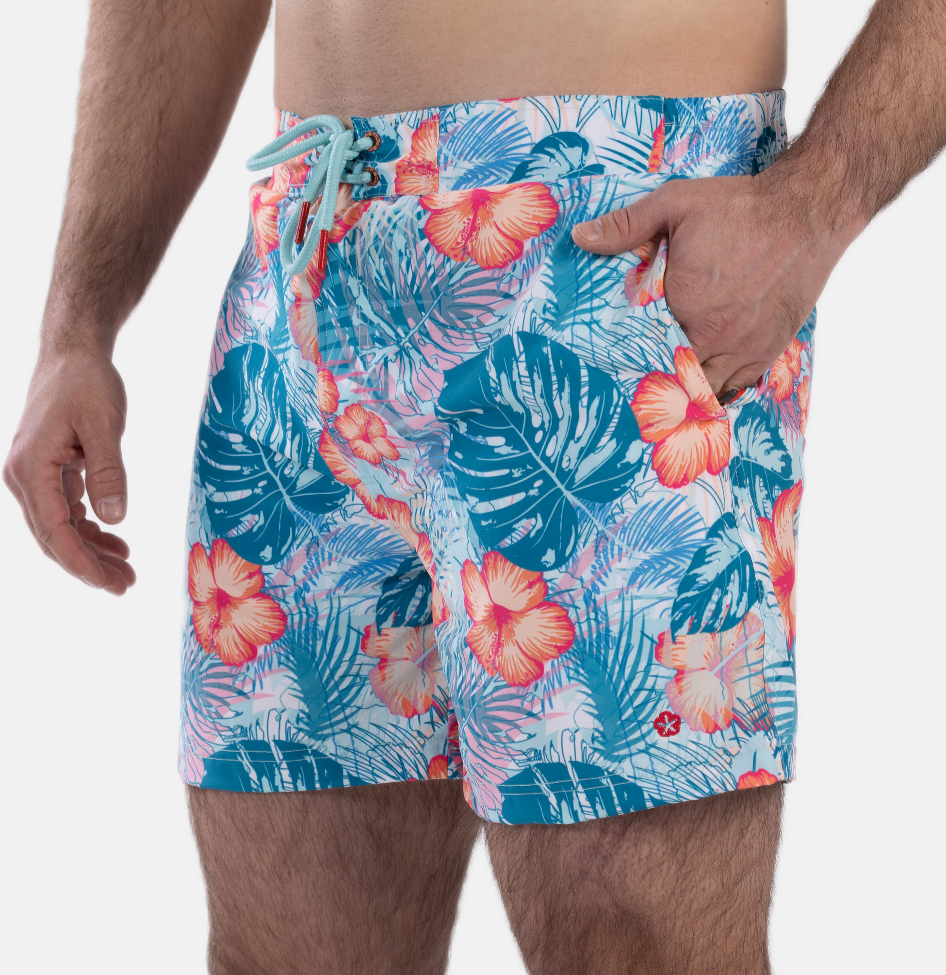 FROZEN CAPE, Ribeira