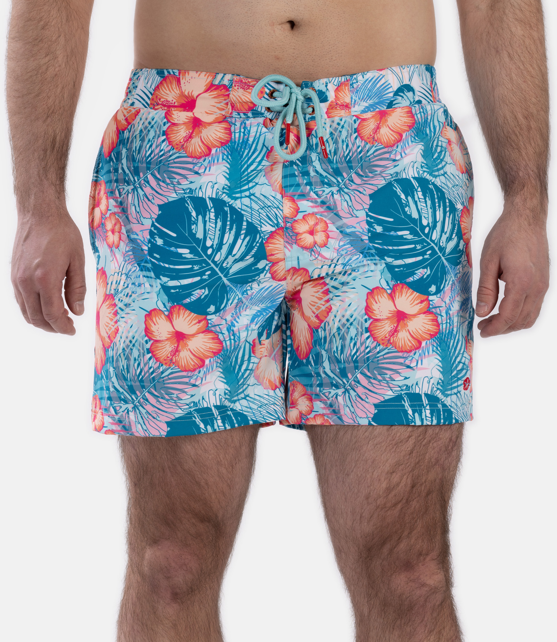 FROZEN CAPE, Ribeira