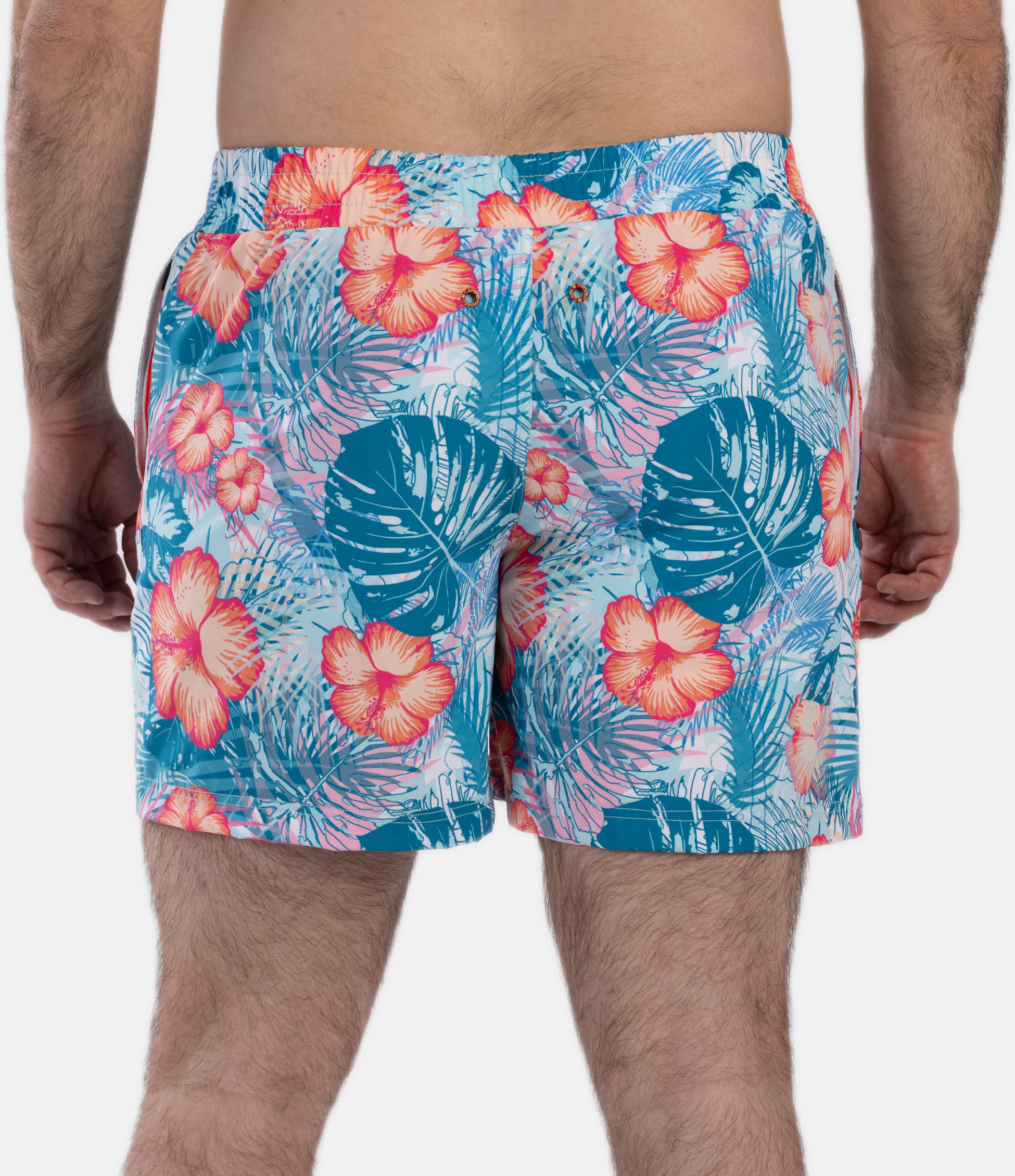 FROZEN CAPE, Ribeira