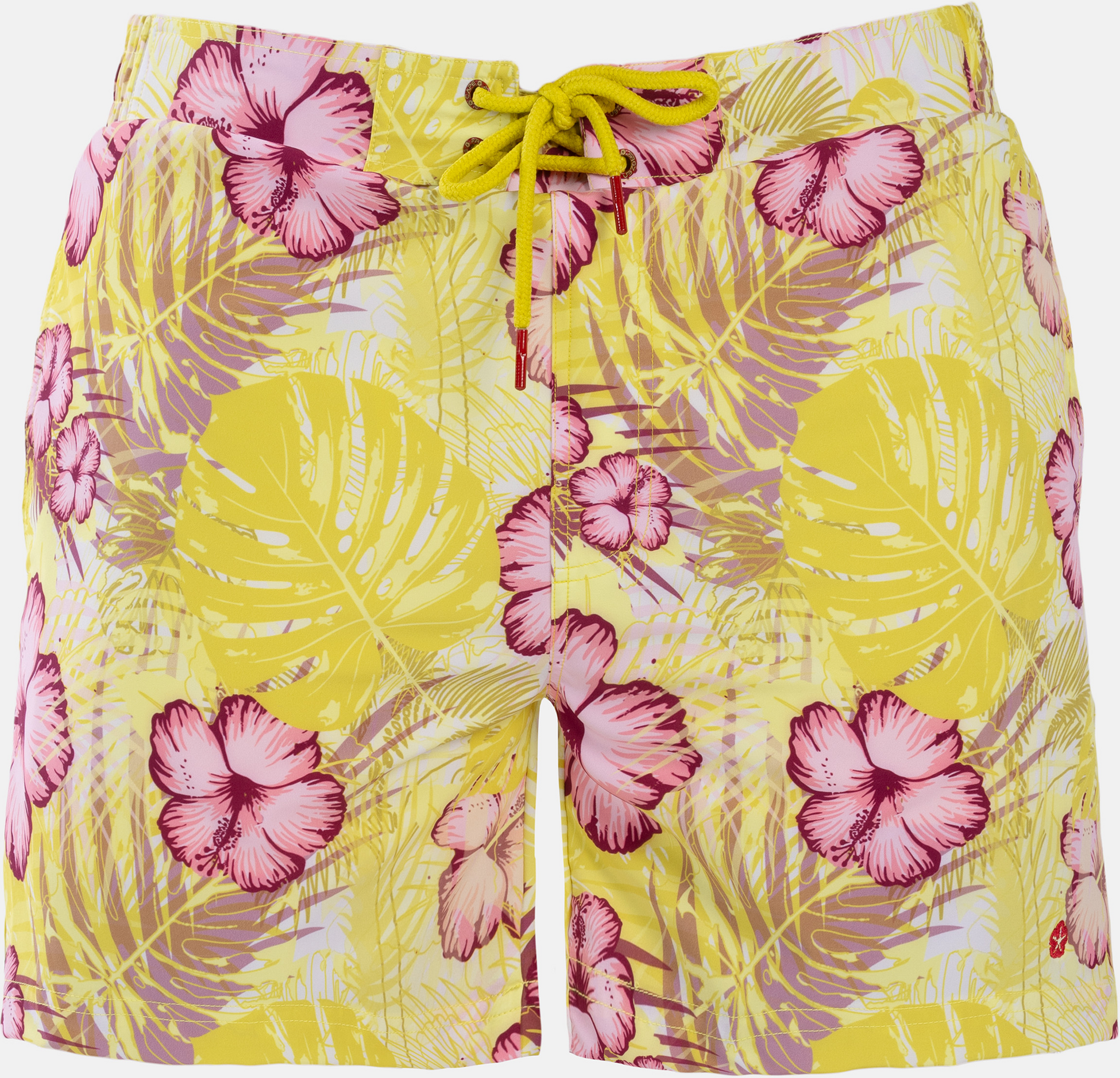 FROZEN CAPE, Ribeira