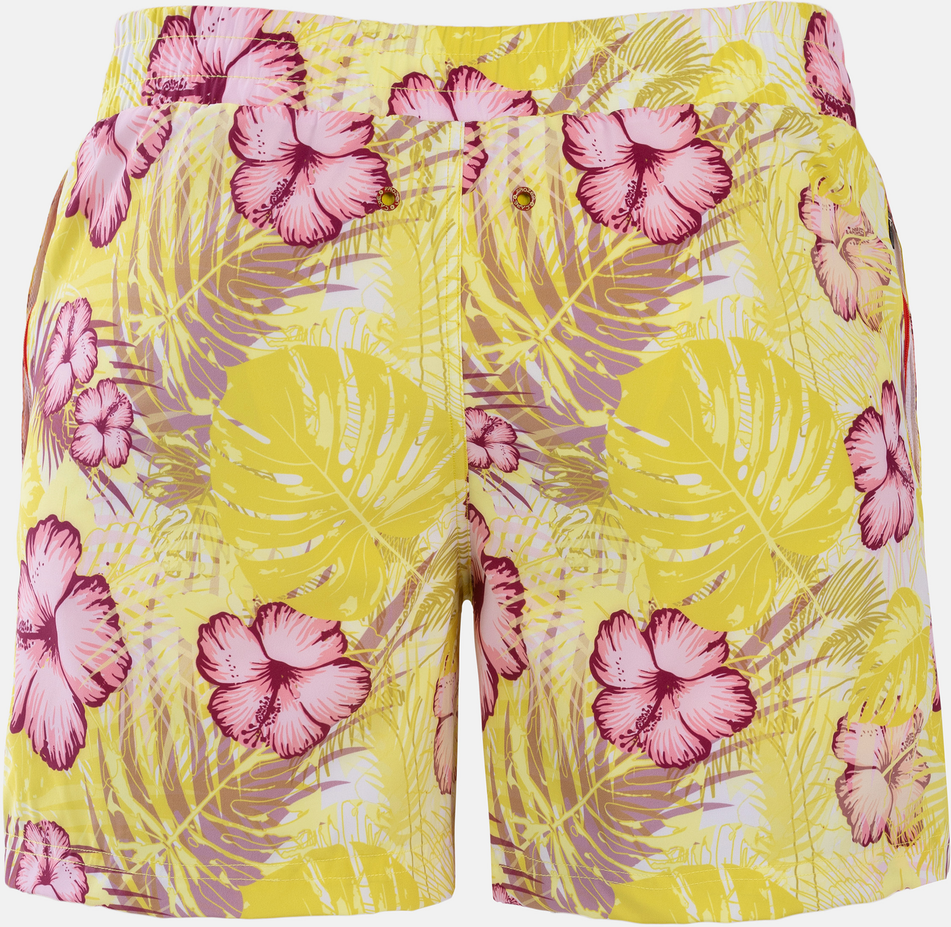 FROZEN CAPE, Ribeira