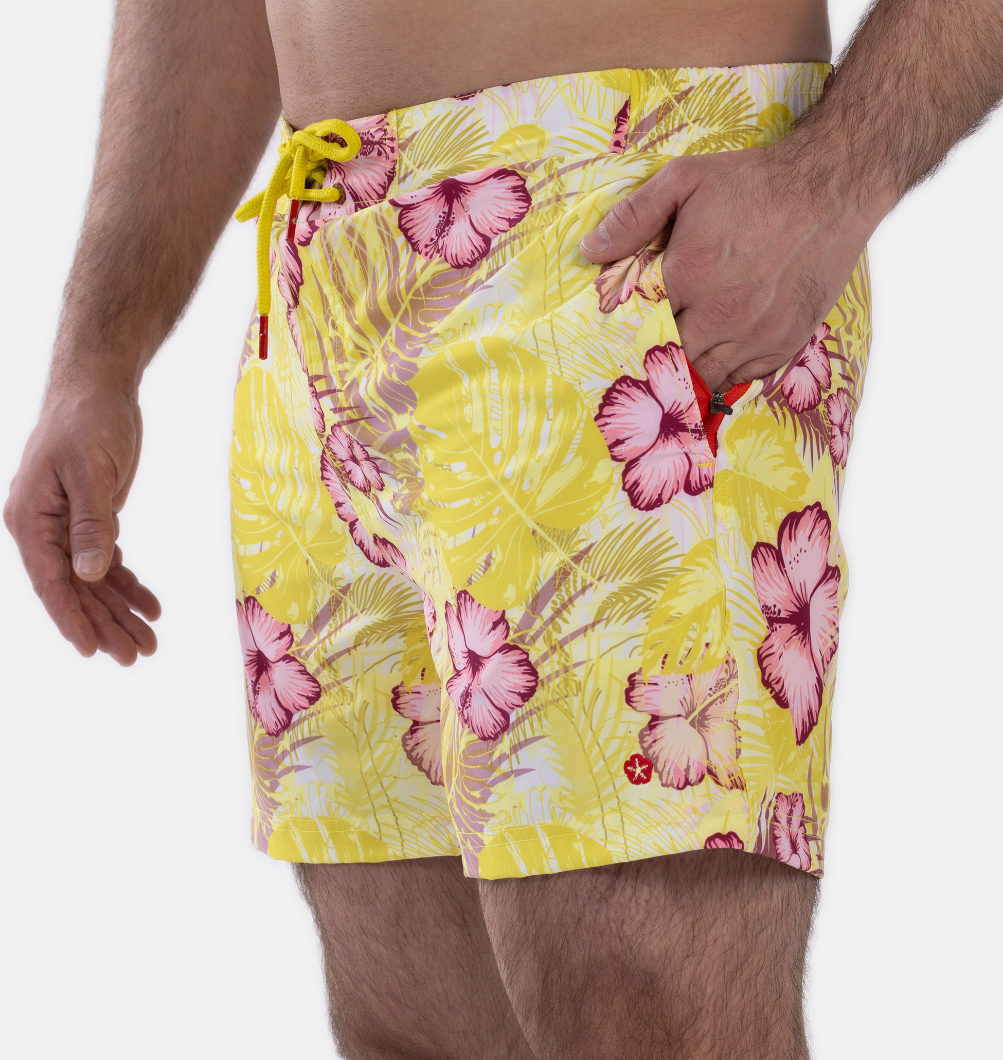 FROZEN CAPE, Ribeira