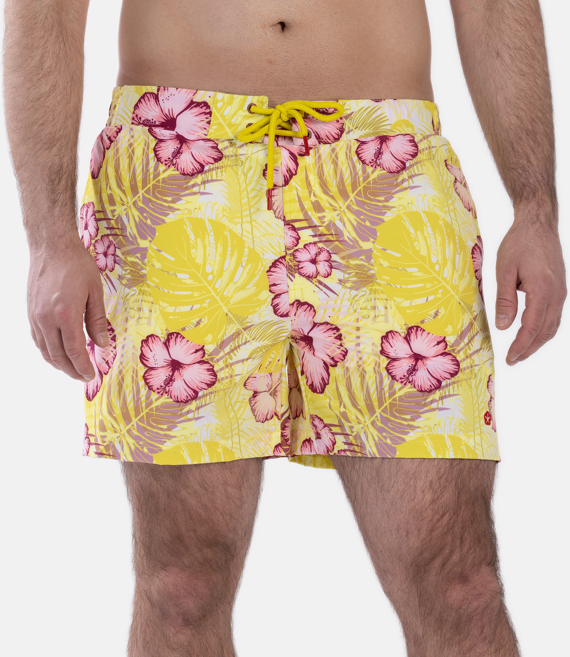 FROZEN CAPE, Ribeira