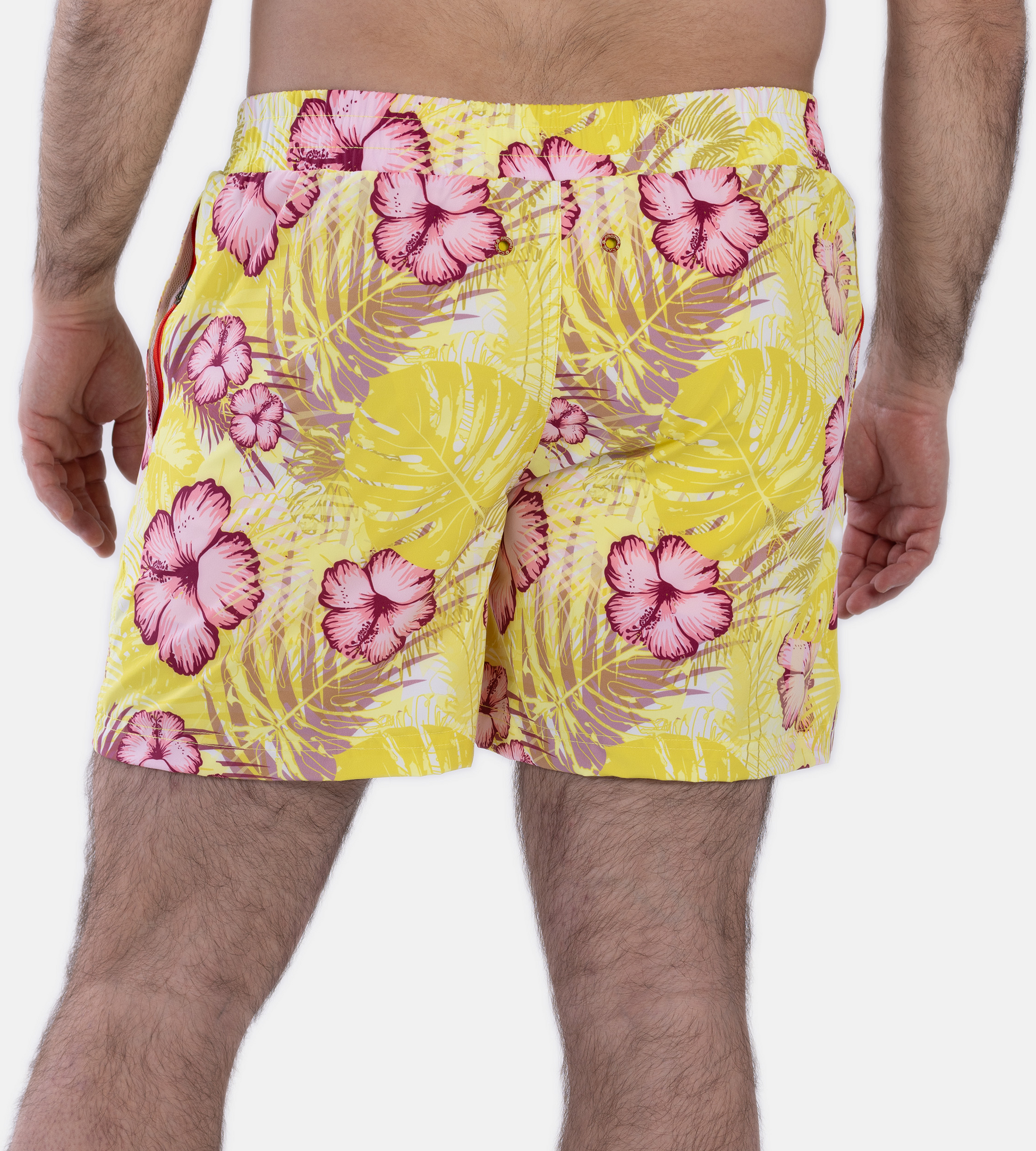 FROZEN CAPE, Ribeira