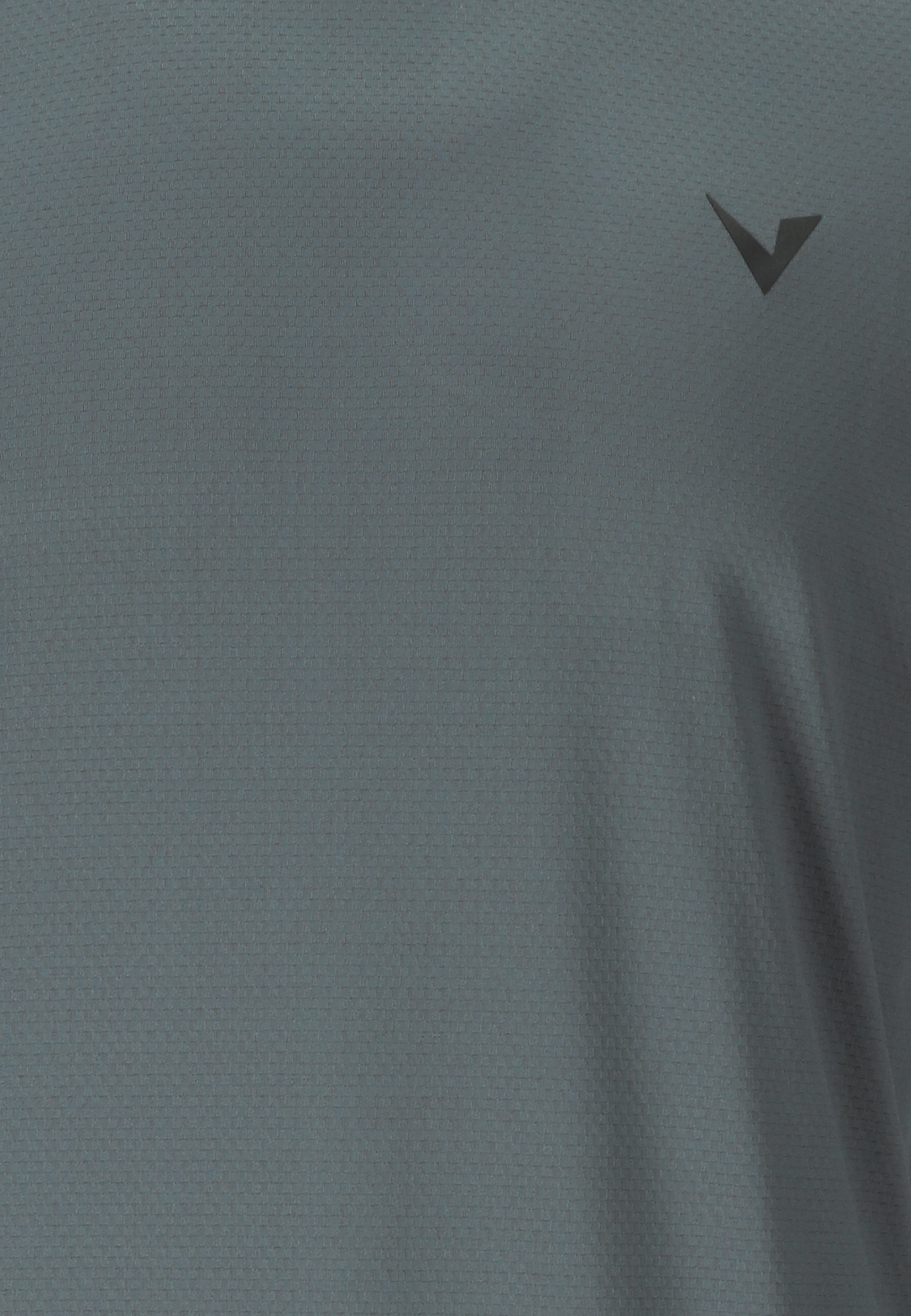 VIRTUS, Roger V3