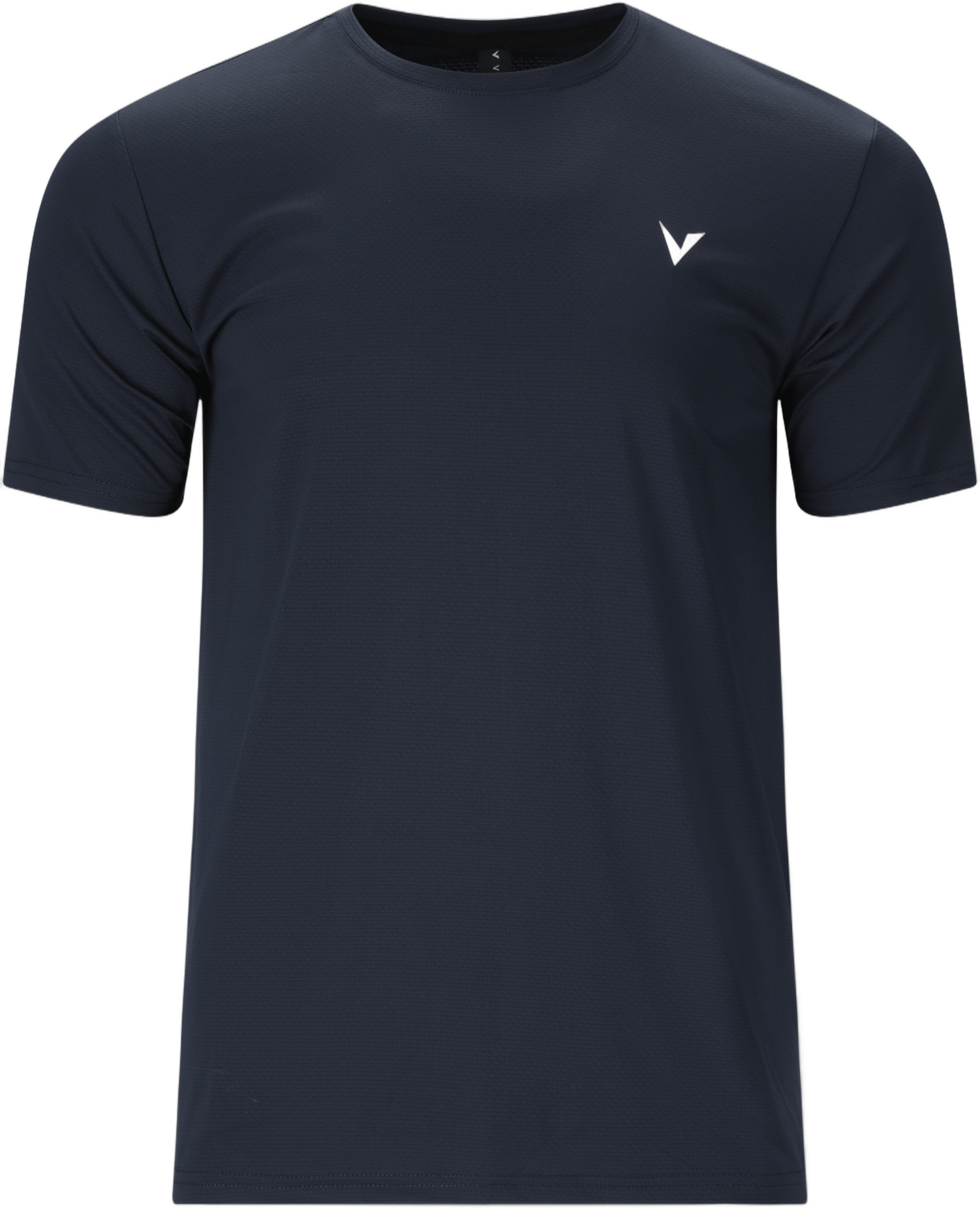 VIRTUS, Roger V3