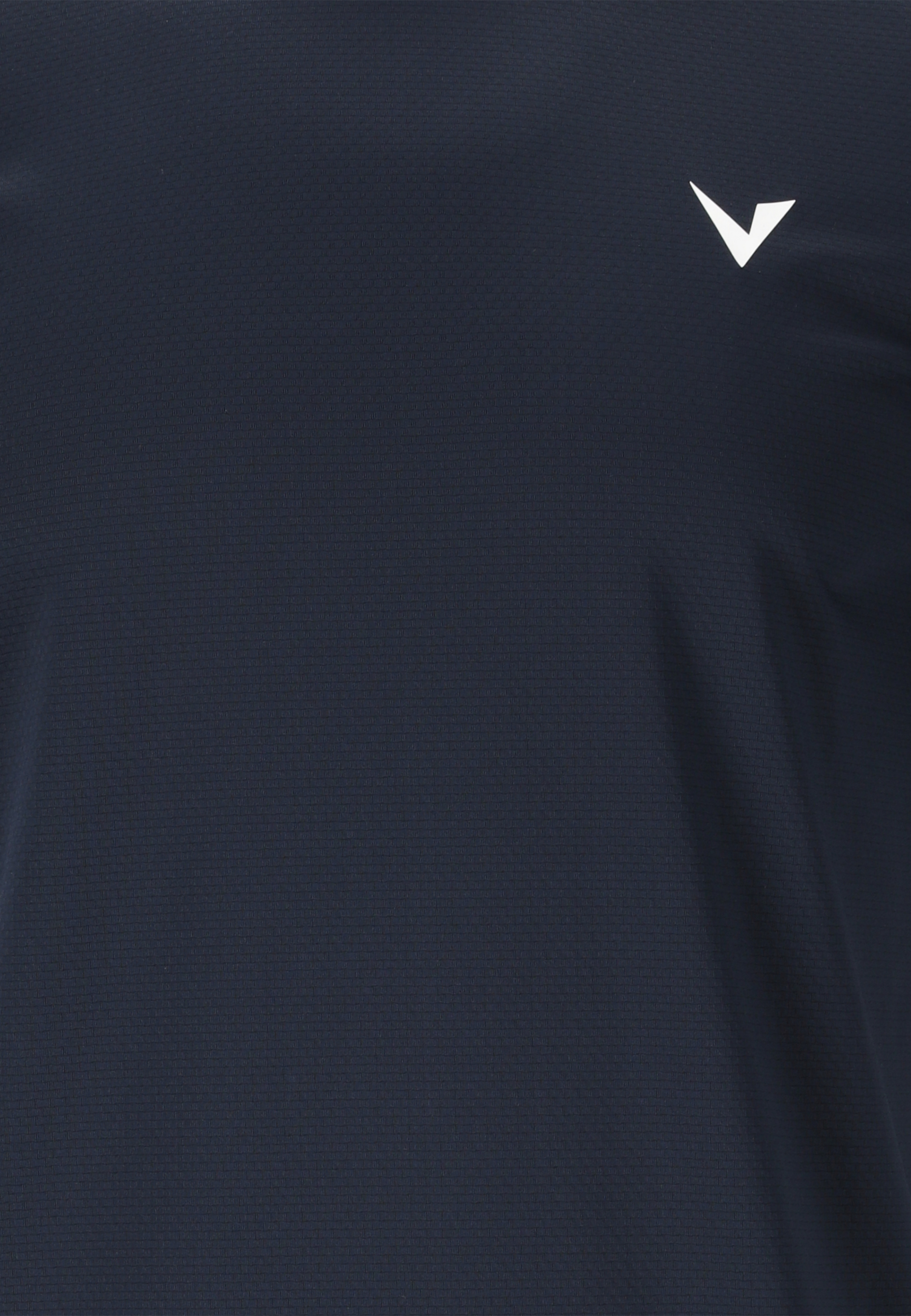 VIRTUS, Roger V3
