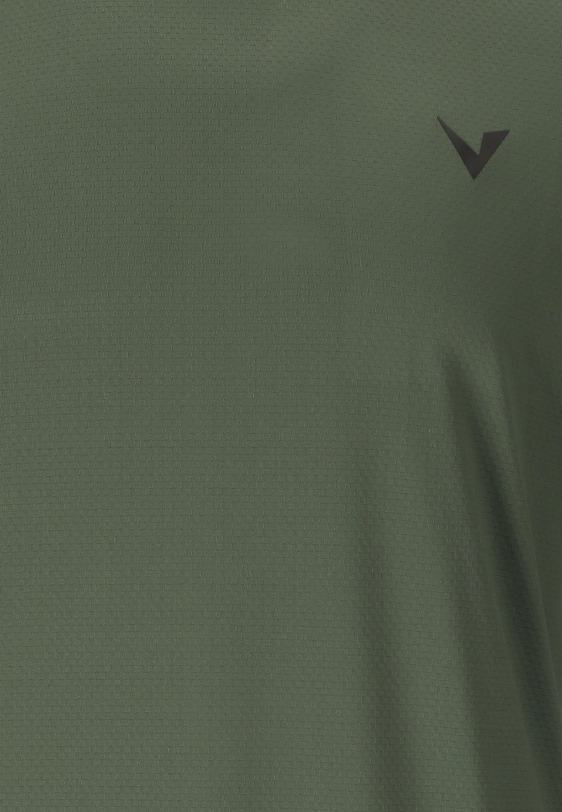 VIRTUS, Roger V3