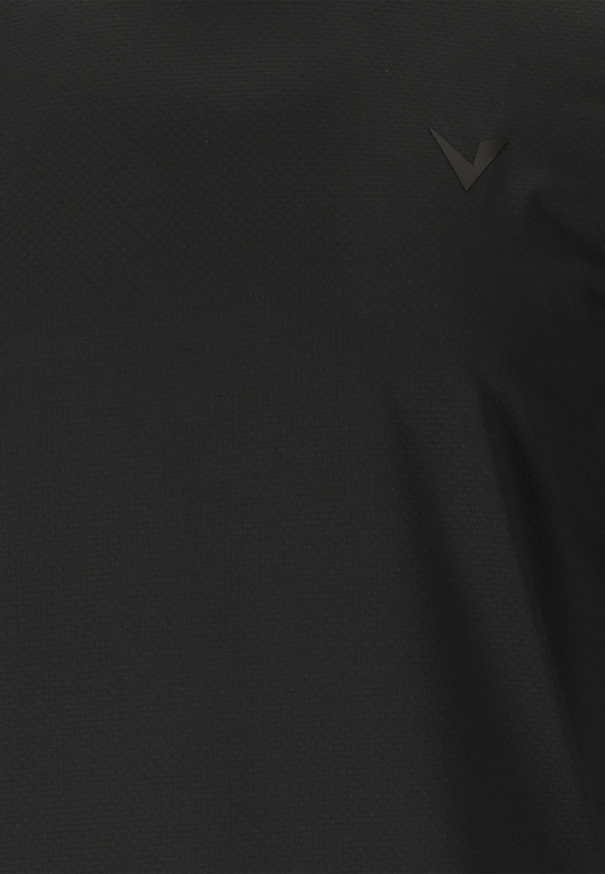 VIRTUS, Roger V3