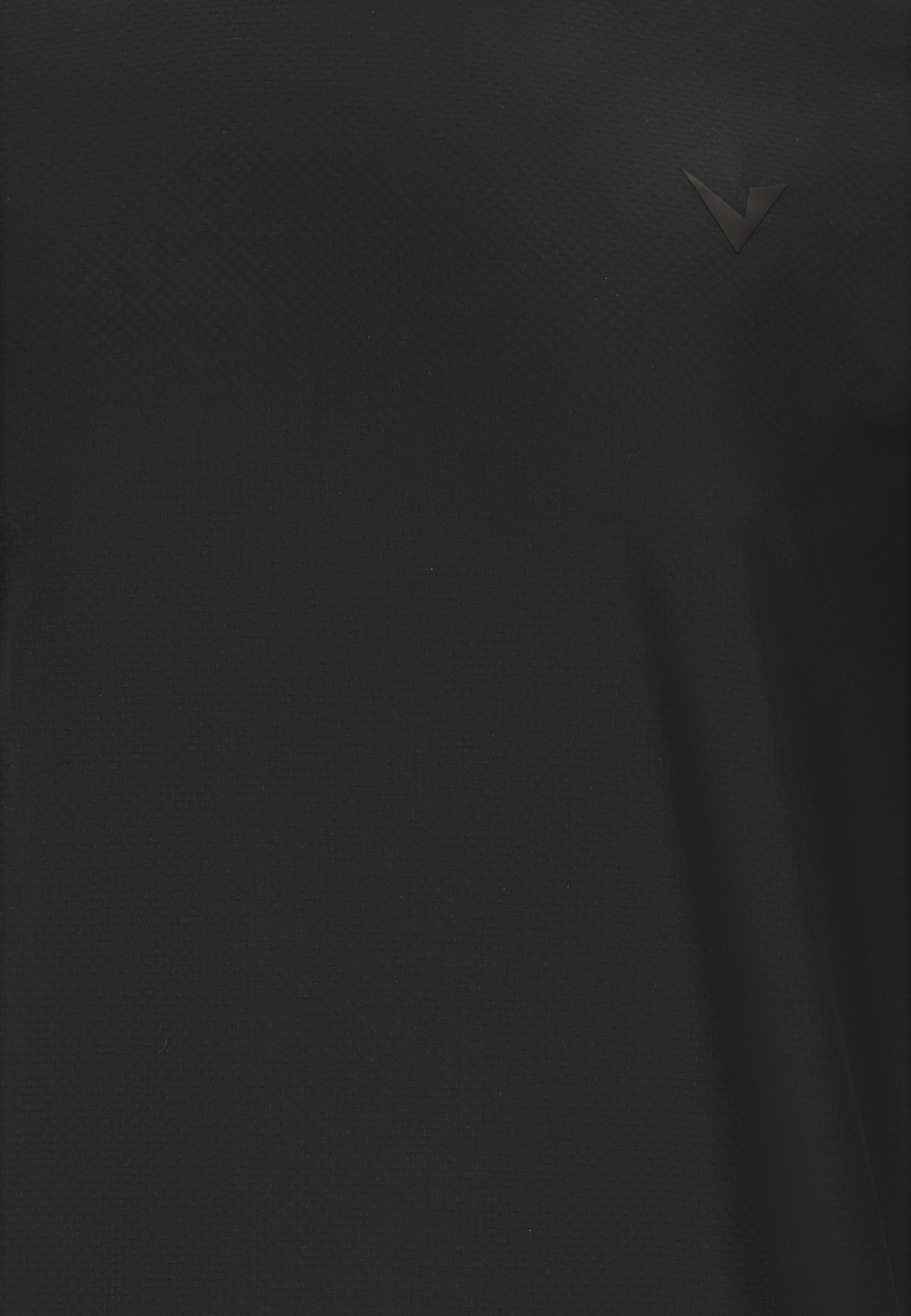 VIRTUS, Roger V3