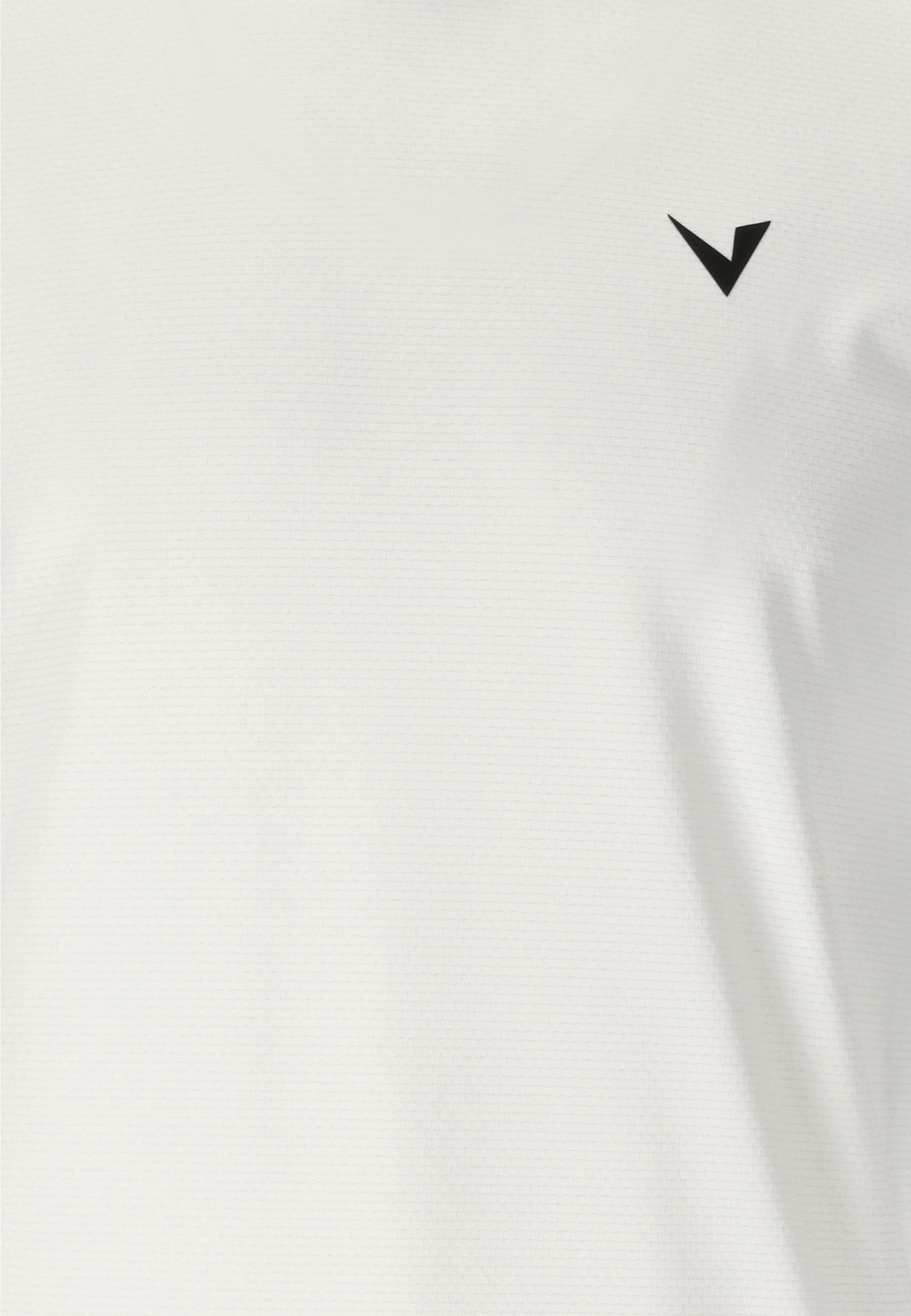 VIRTUS, Roger V3