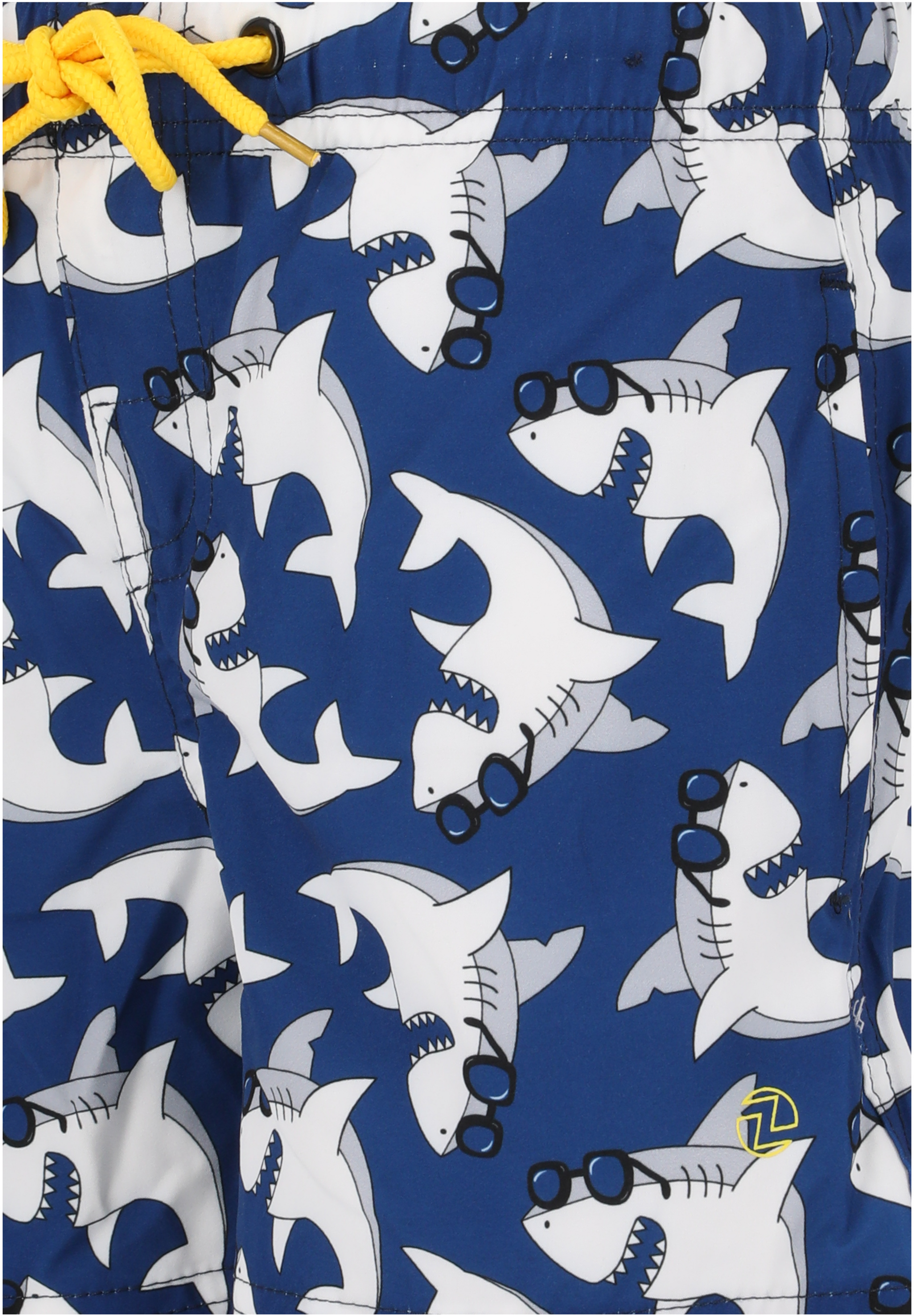 ZIGZAG, Ruben Bathing Shorts