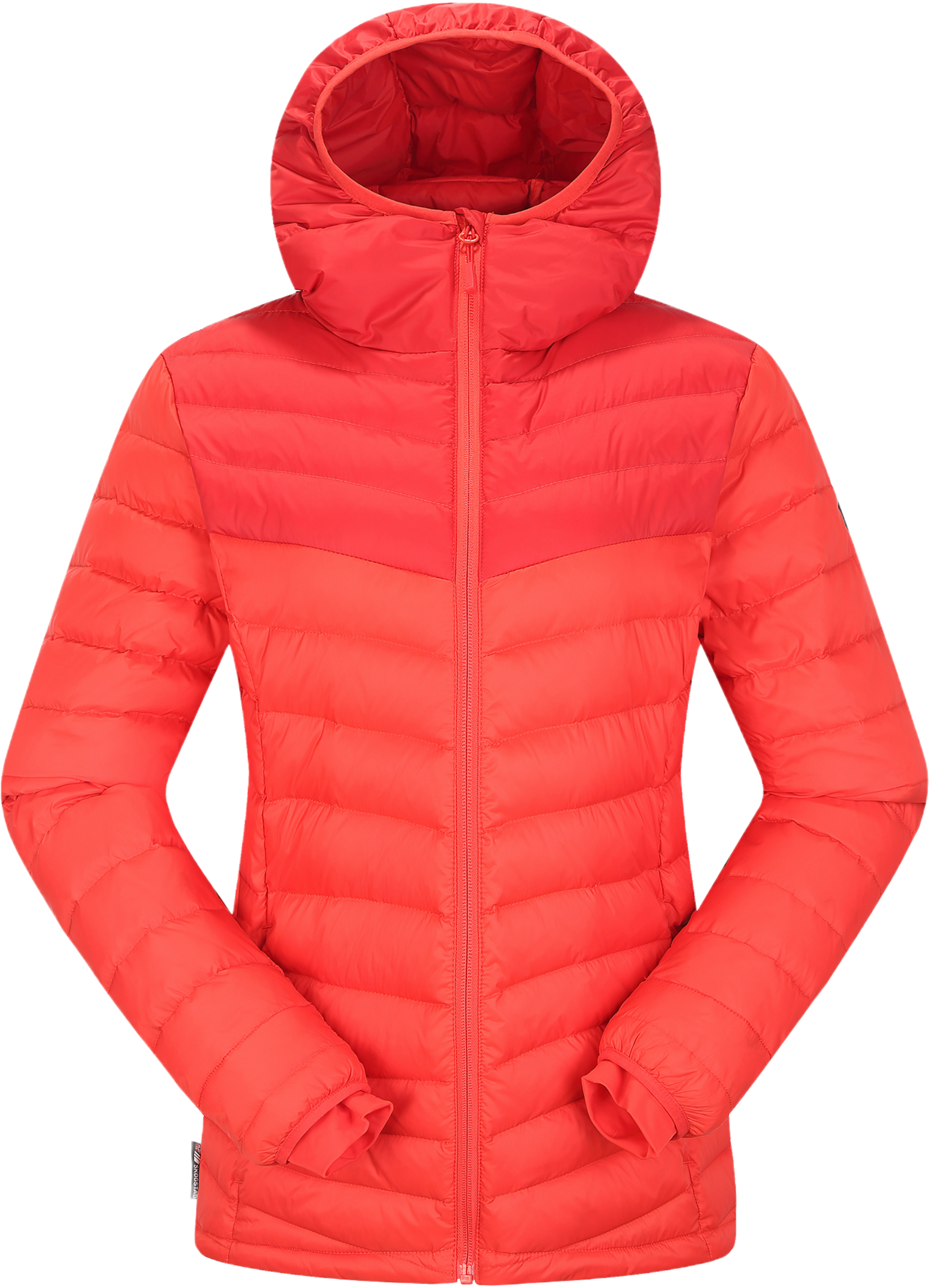 SKOGSTAD, Sølvøyna