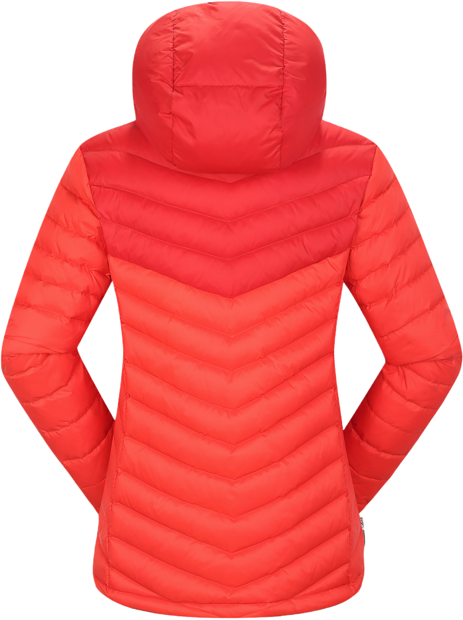 SKOGSTAD, Sølvøyna