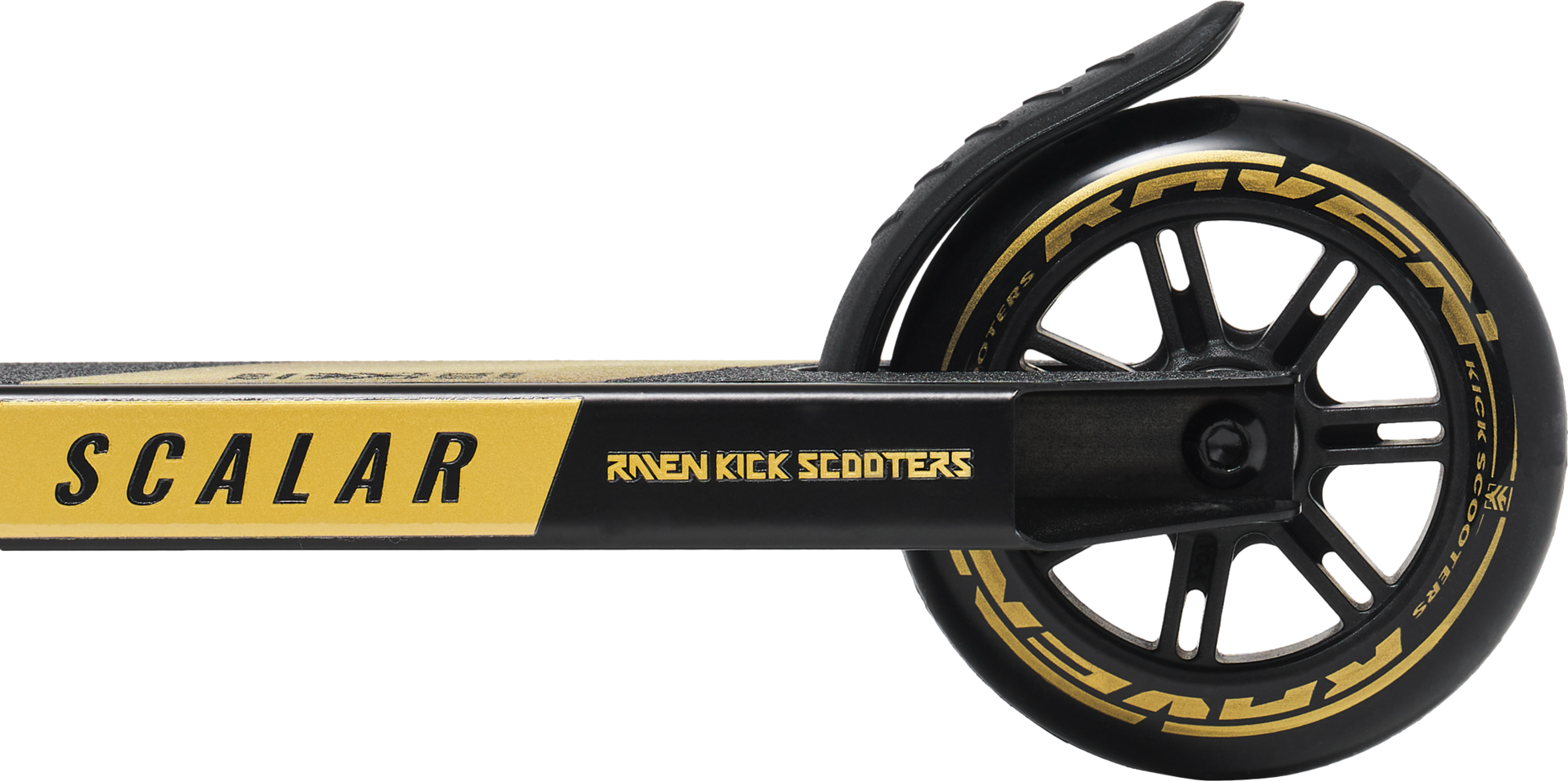 RAVEN, Scalar
