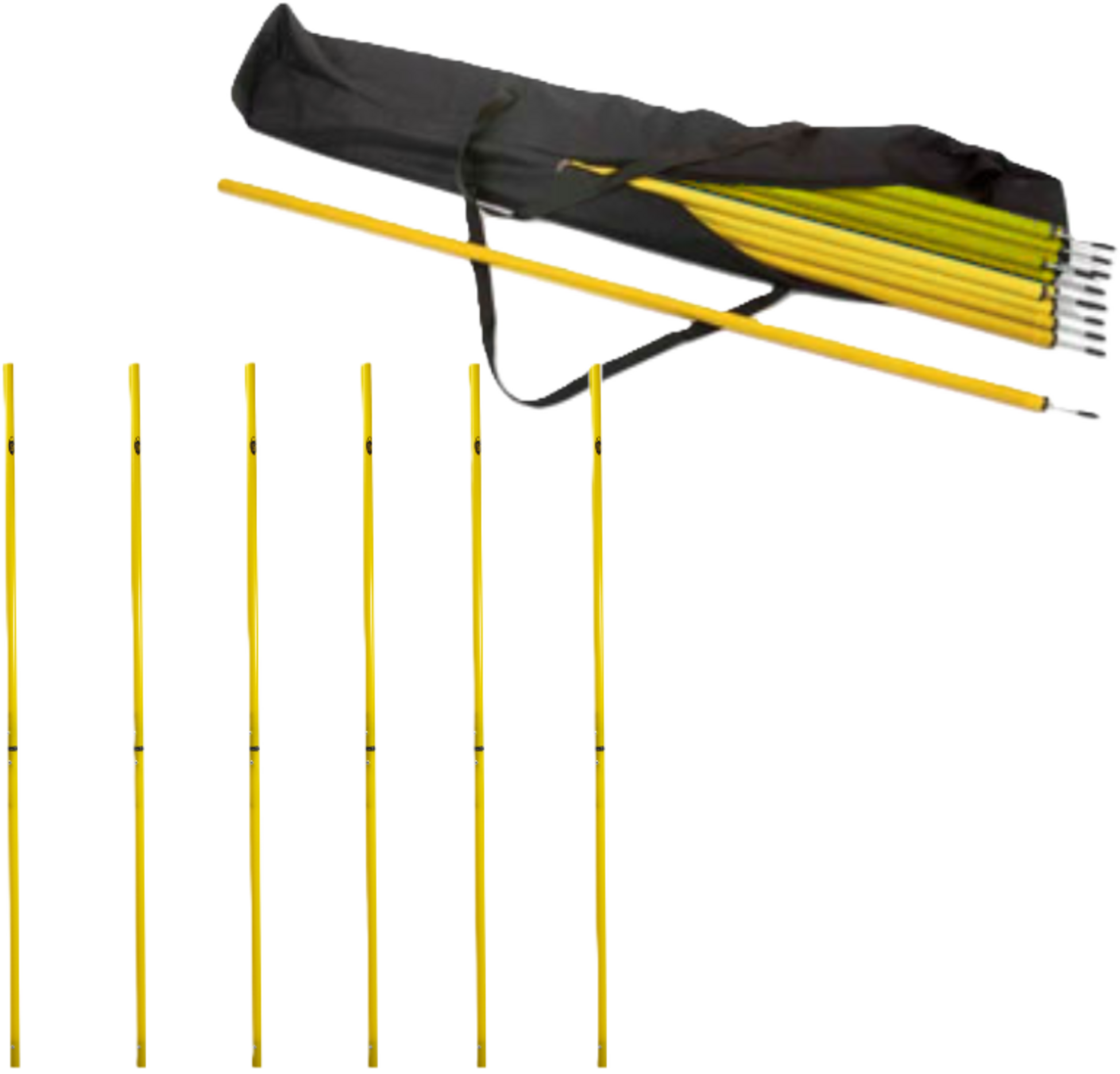 PRO MATCH, Slalomkäpp Med Markspik 170cm 6-pack Inklusive Förvaringsväska