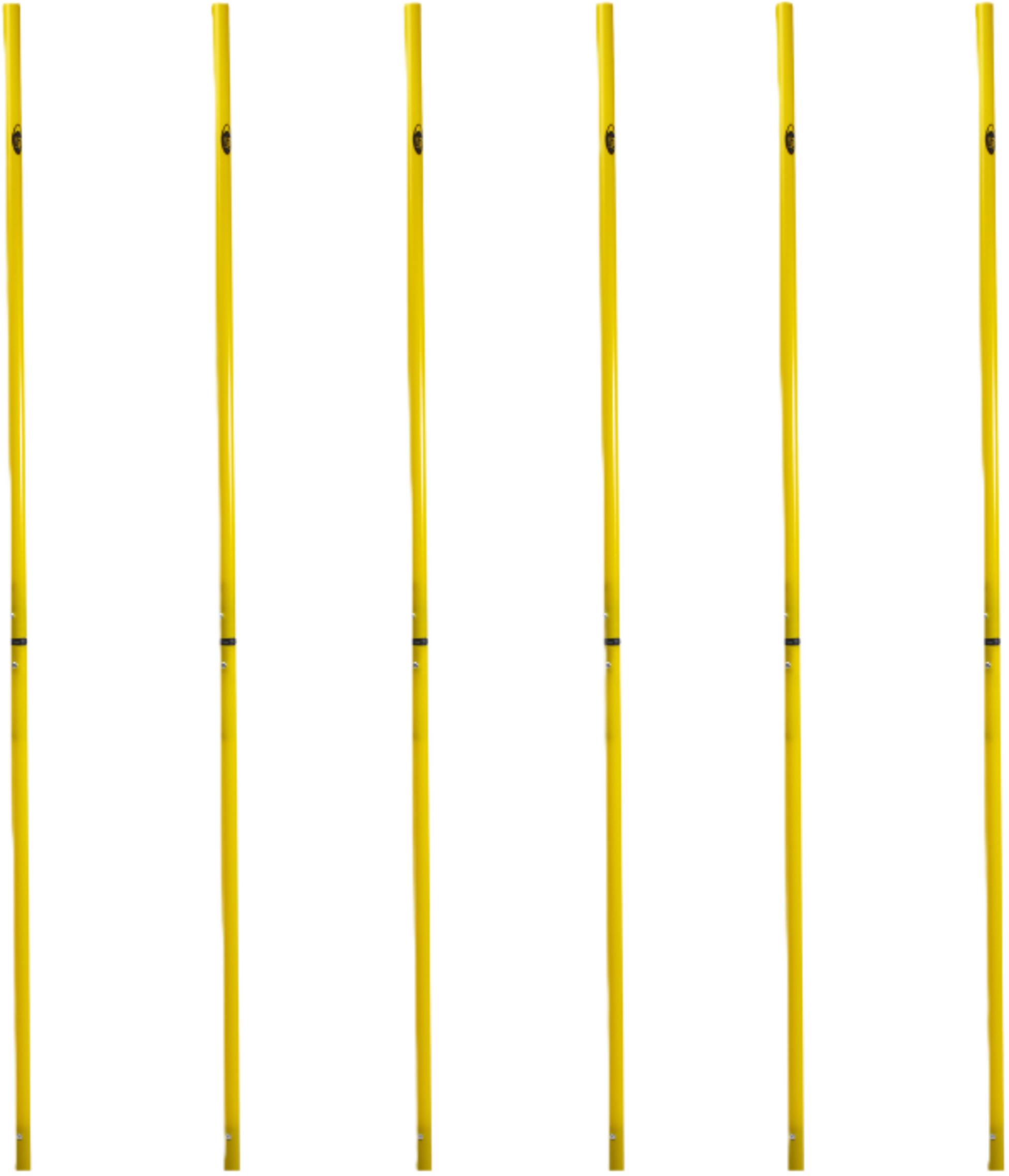 PRO MATCH, Slalomkäpp Med Markspik 170cm 6-pack