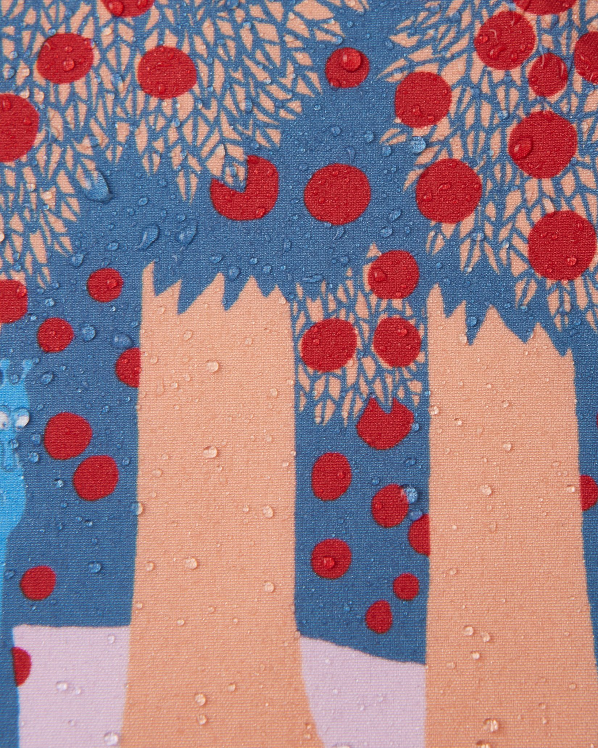 REIMA, Softshell-jacka Moomin Vantti