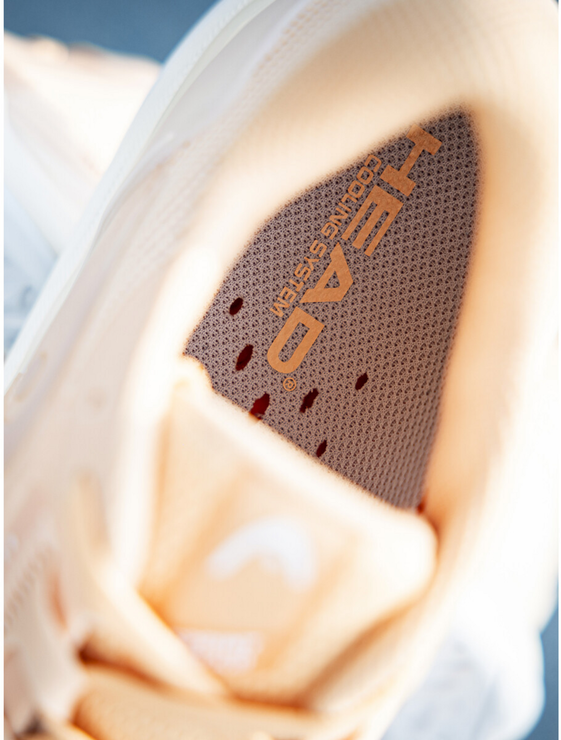 HEAD, Sprint Pro 4.0 Women Apva