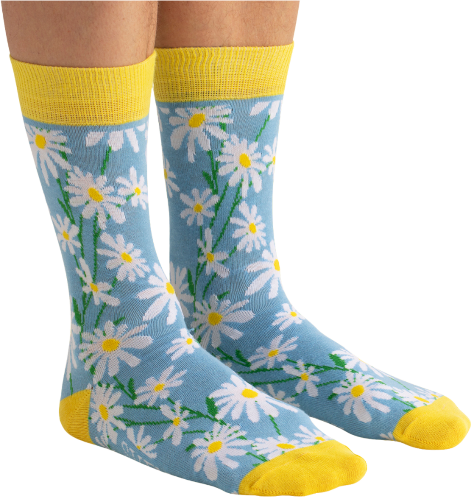 SVENSK HUSMAN, Strumpor Pr&auml;stkrage