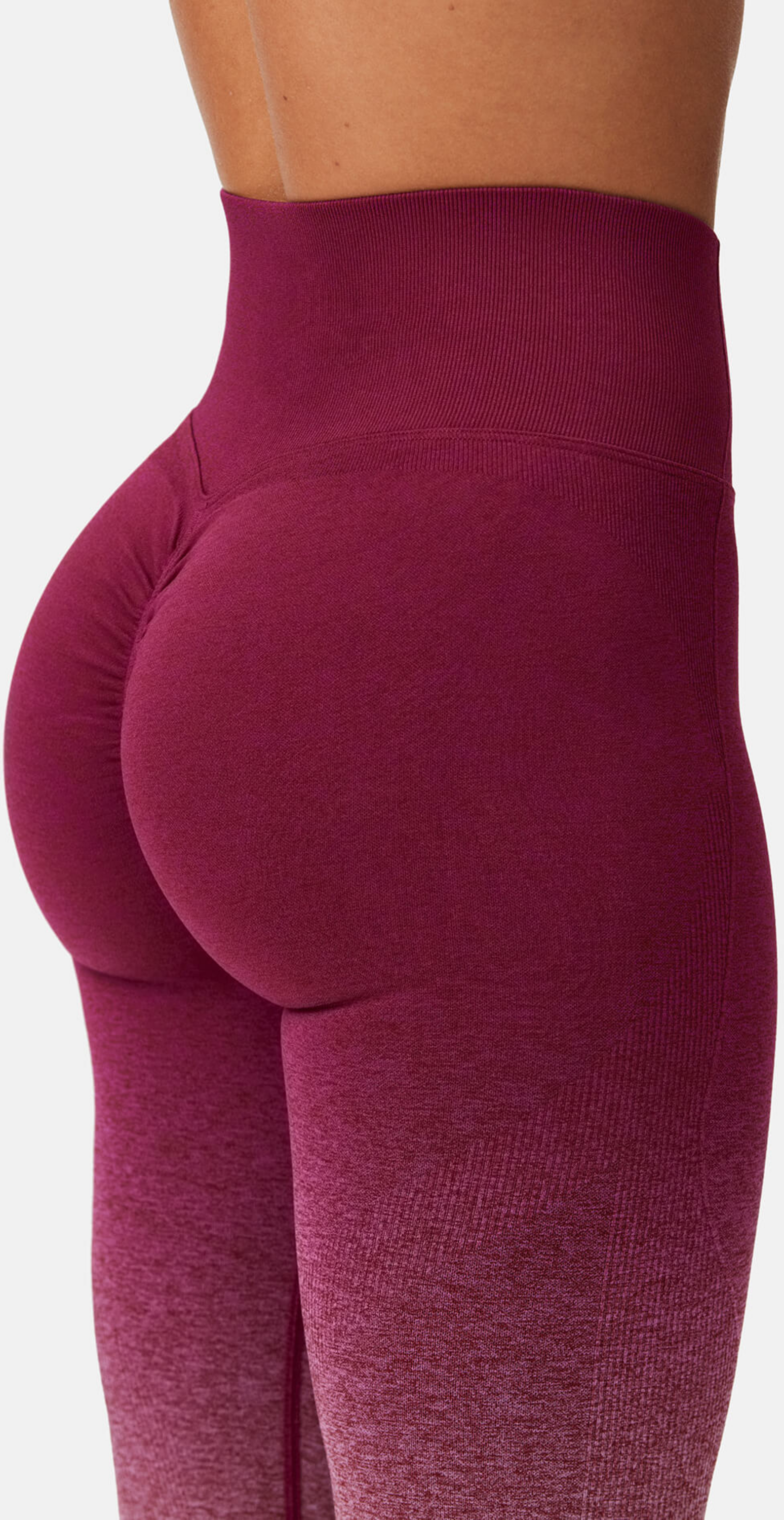 ALERA, Sundance Scrunch Tights