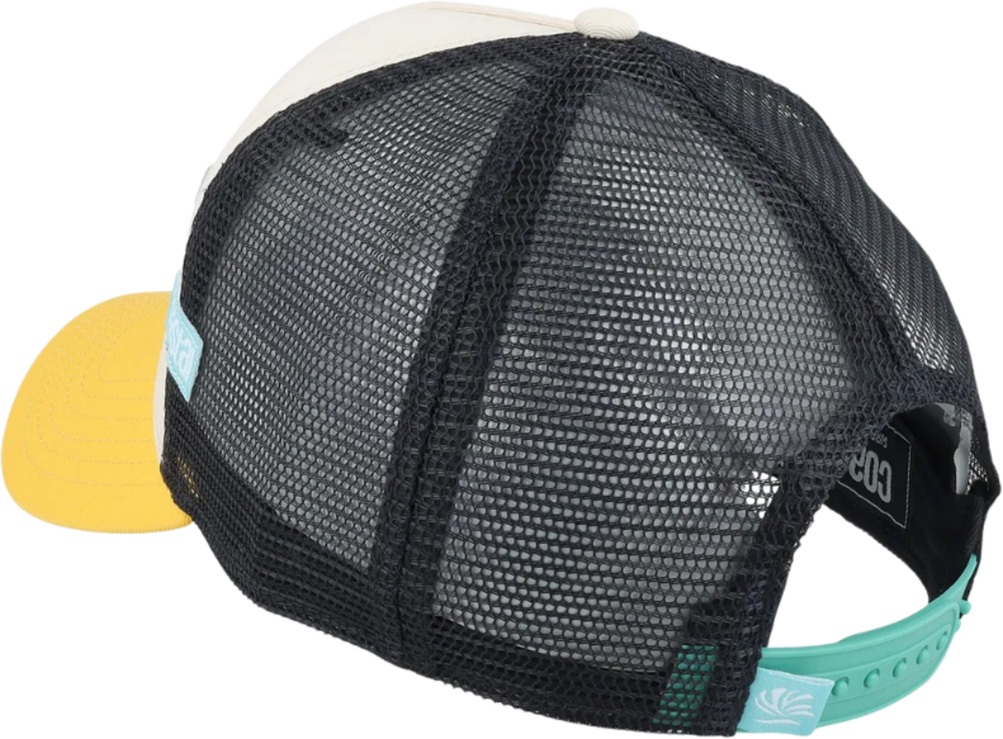 COASTAL, Surfeando Trucker