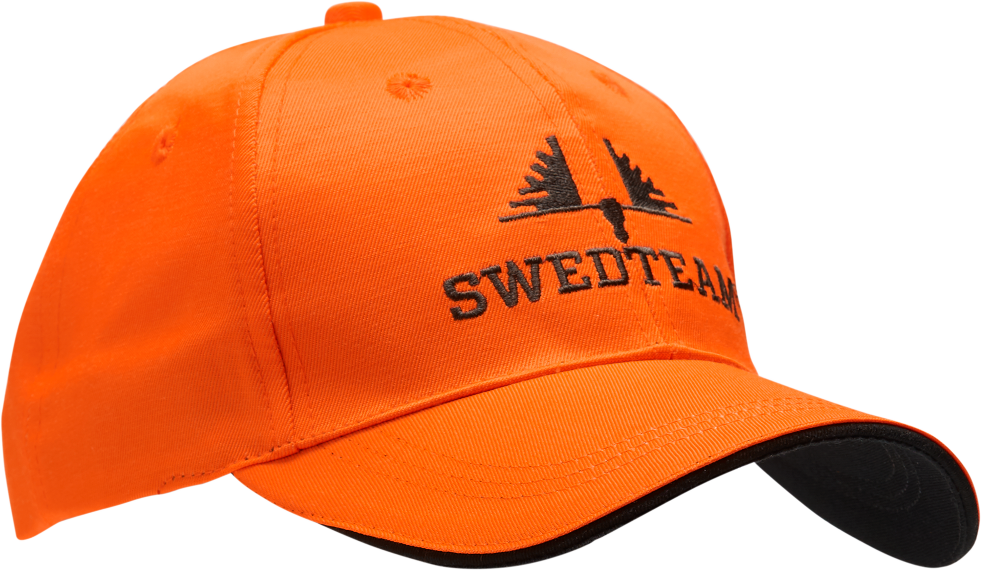 SWEDTEAM, Swedteam Logo