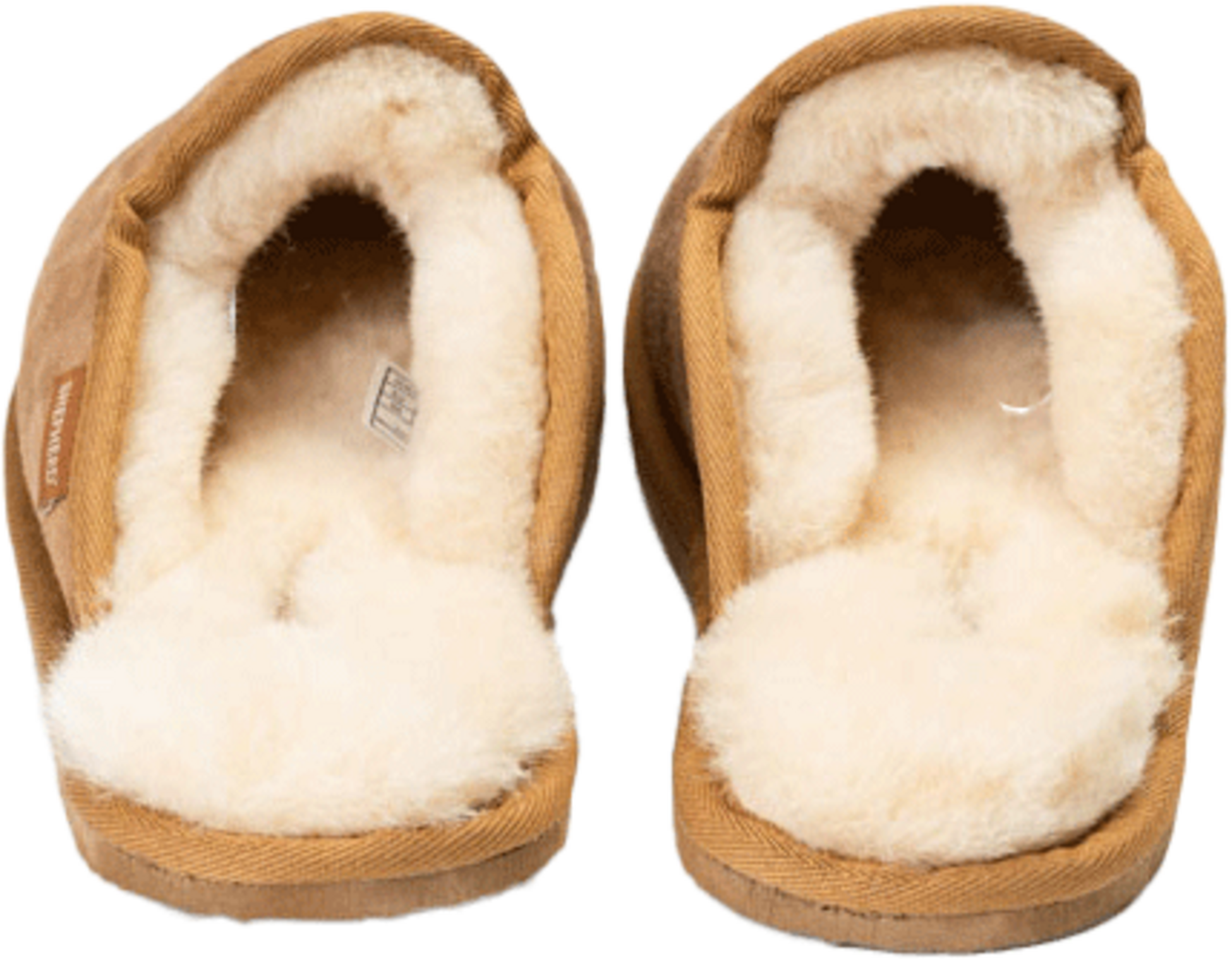 SHEPHERD, Terry Tofflor Chestnut