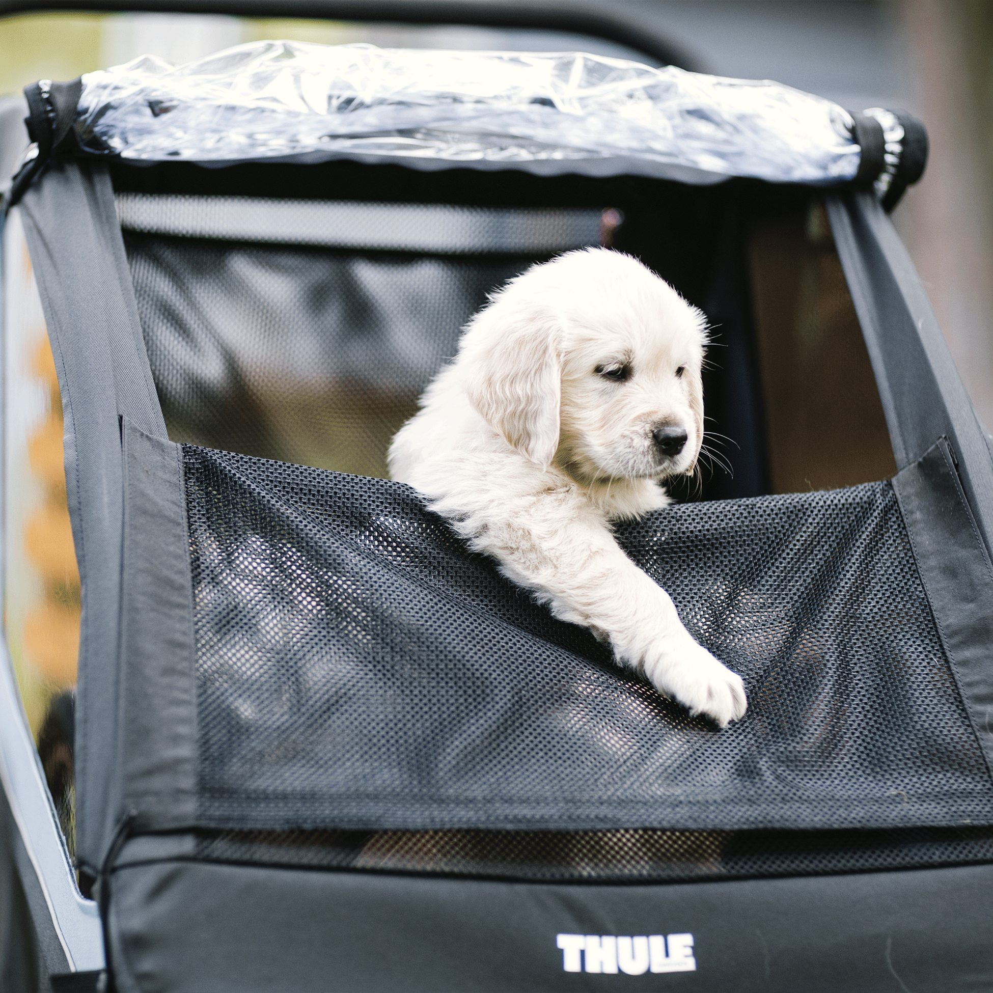 THULE, Thule Courier Dog Trailer Kit Bike Trailers Accessory