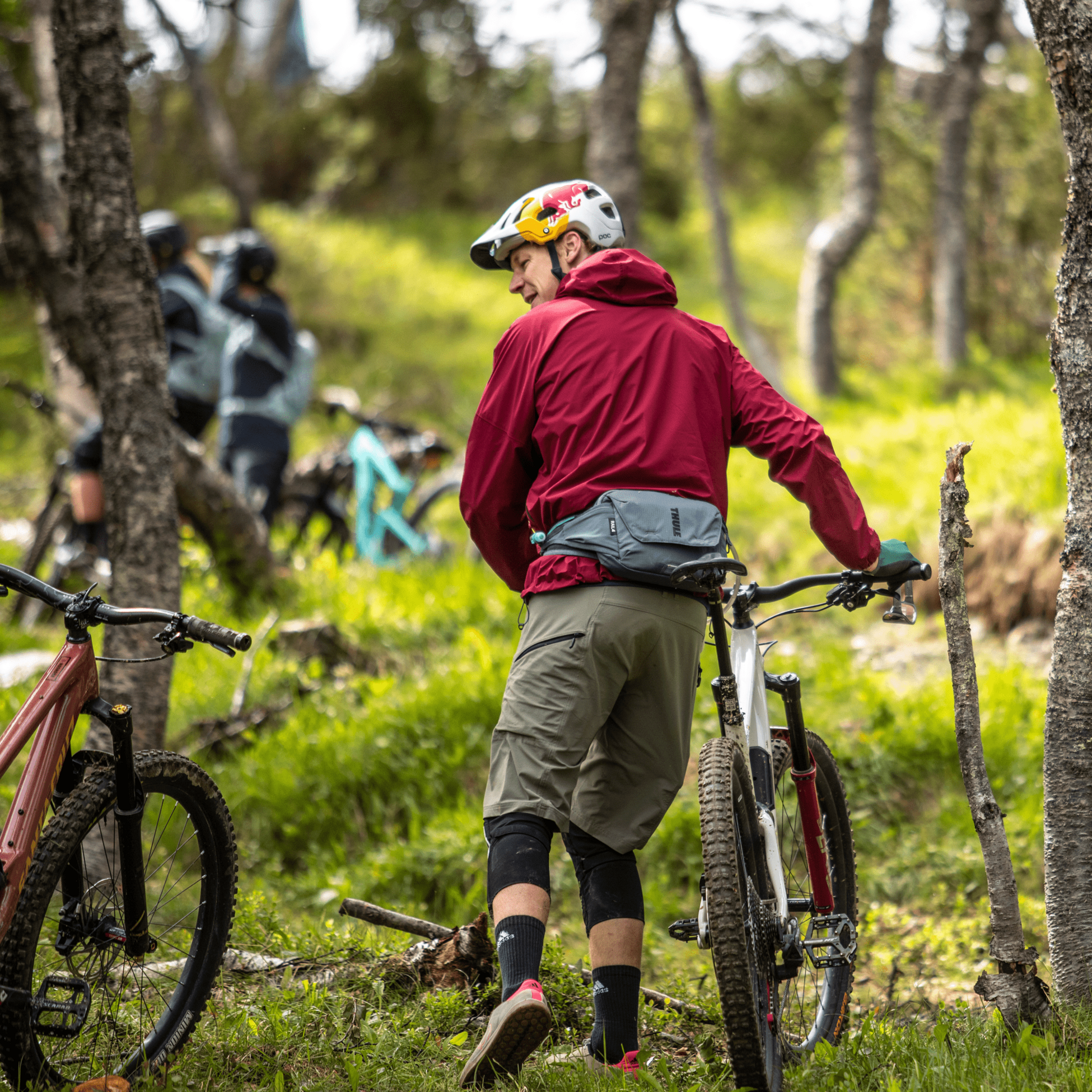 THULE, Thule Rail Hip Pack