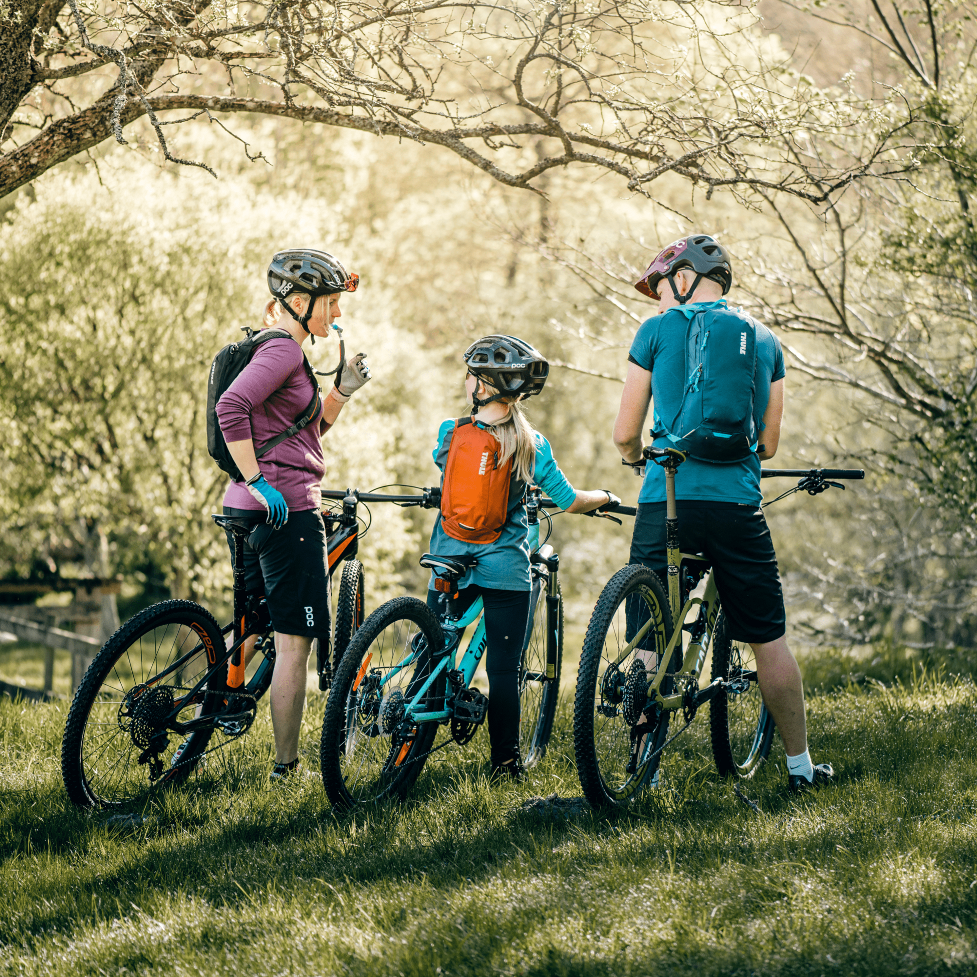 THULE, Thule Uptake Hydration Pack