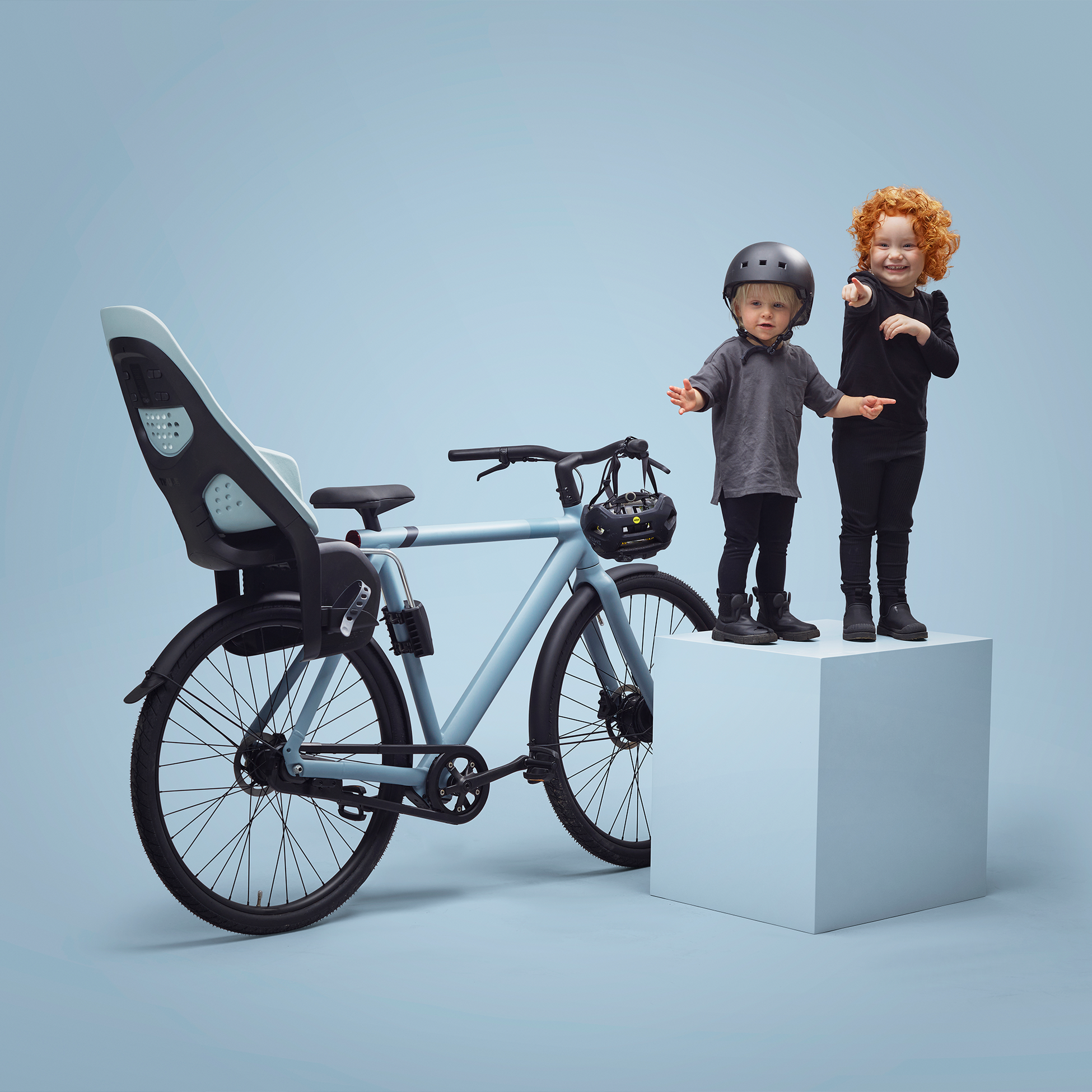 THULE, Thule Yepp 2 Maxi Frame Mount Child Bike Seat