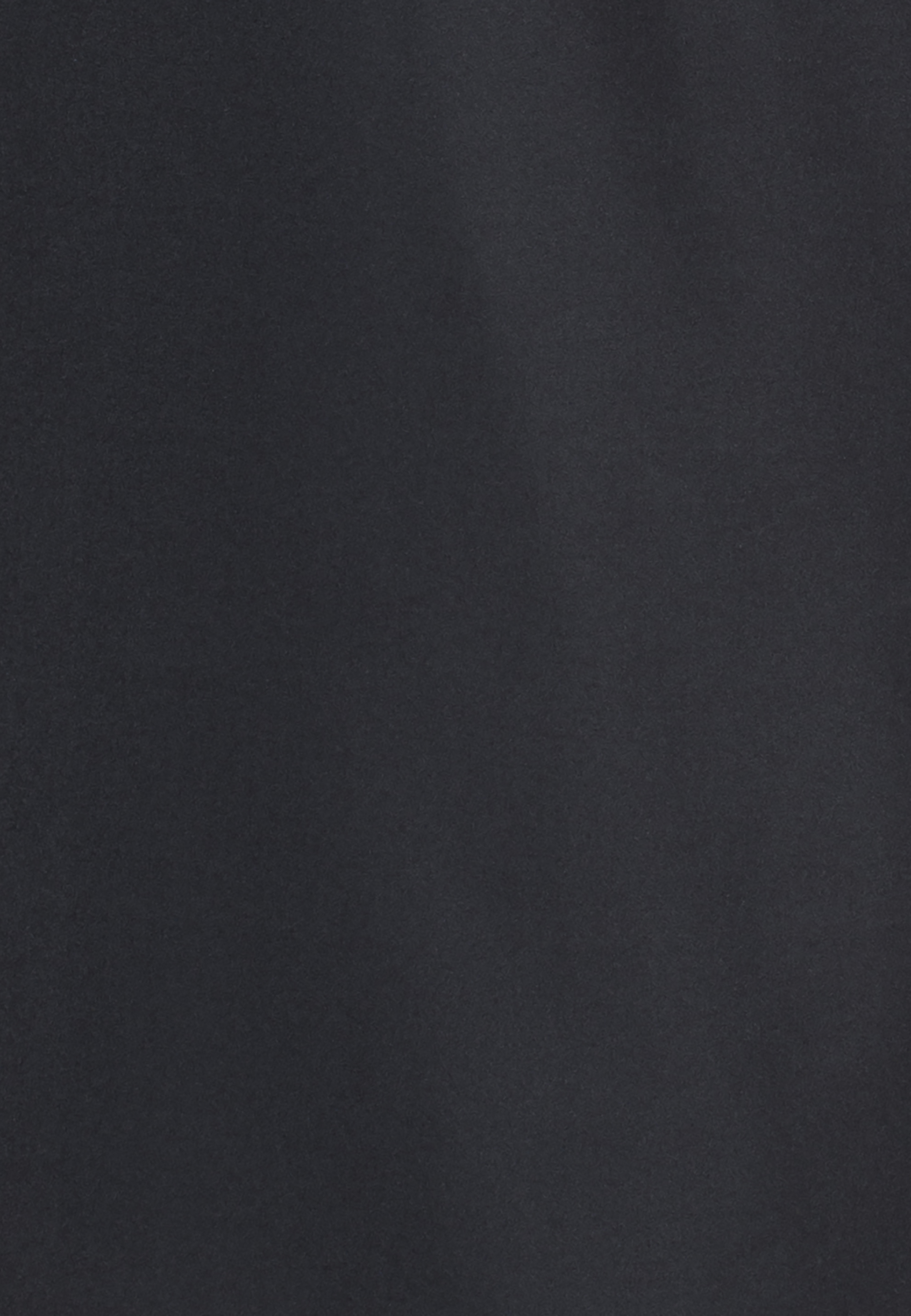 ENDURANCE, Vanclause 2 In 1 Shorts