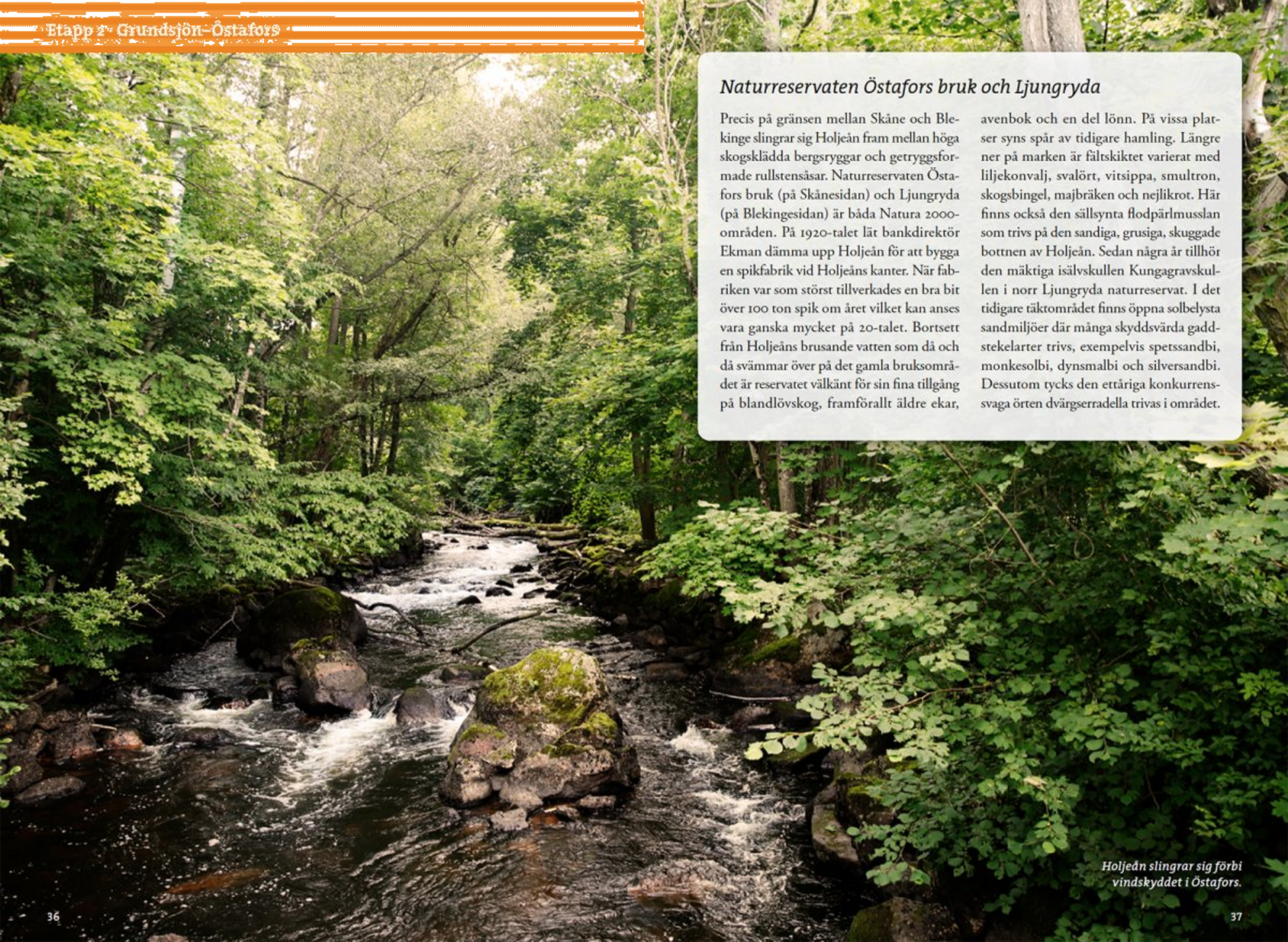 CALAZO, Vandra Blekingeleden