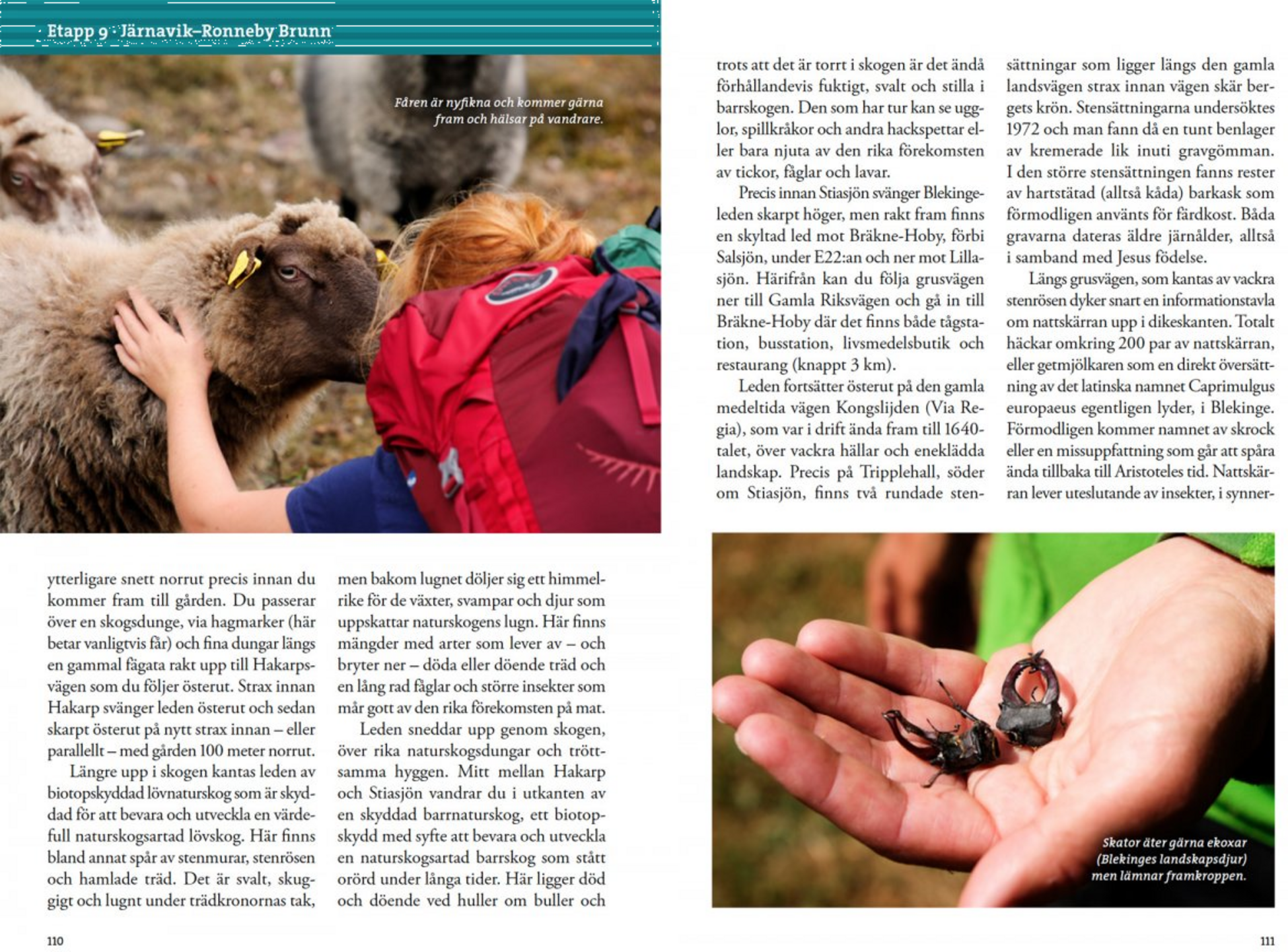 CALAZO, Vandra Blekingeleden