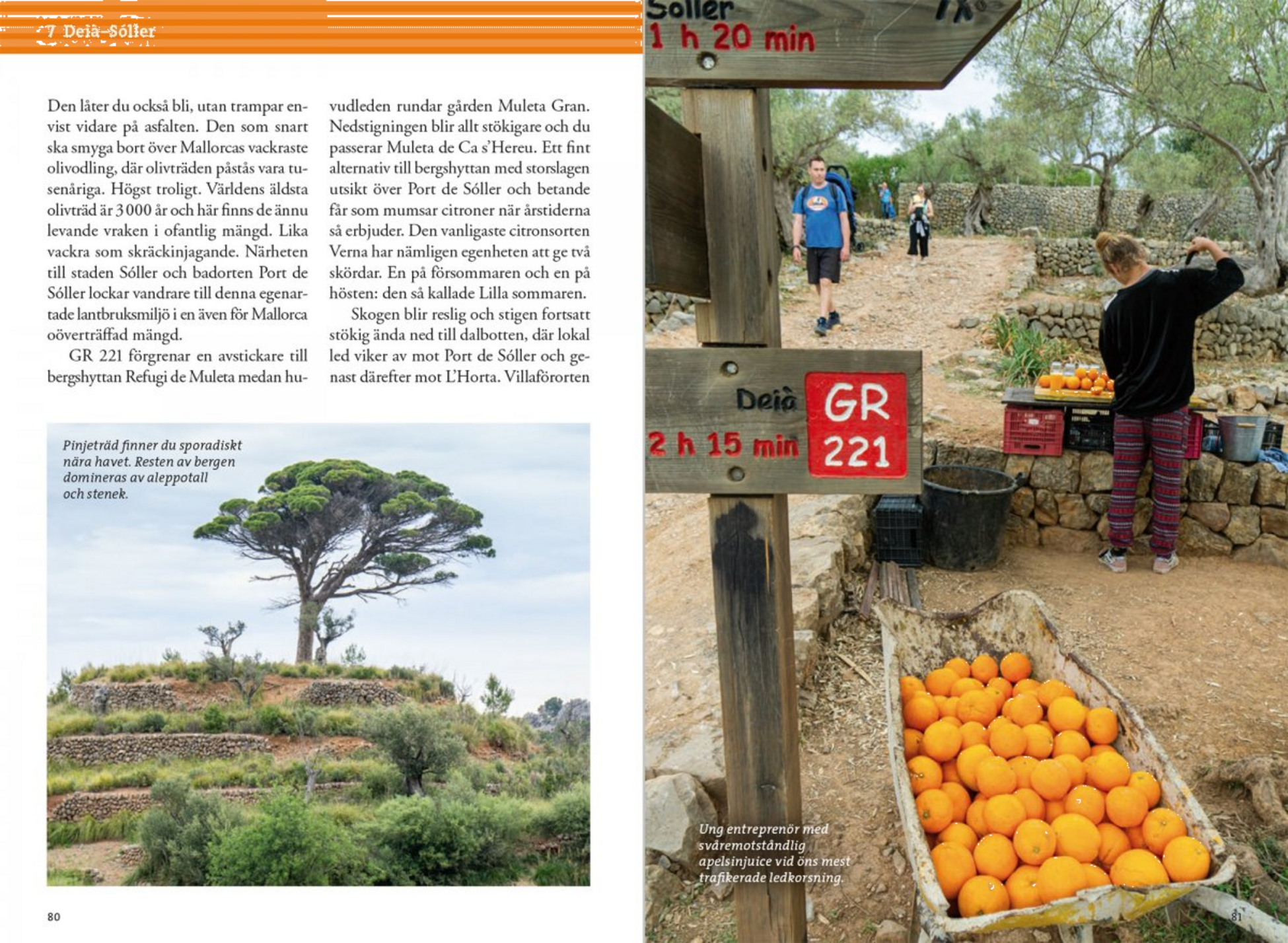 CALAZO, Vandra I Bergen P&aring; Mallorca