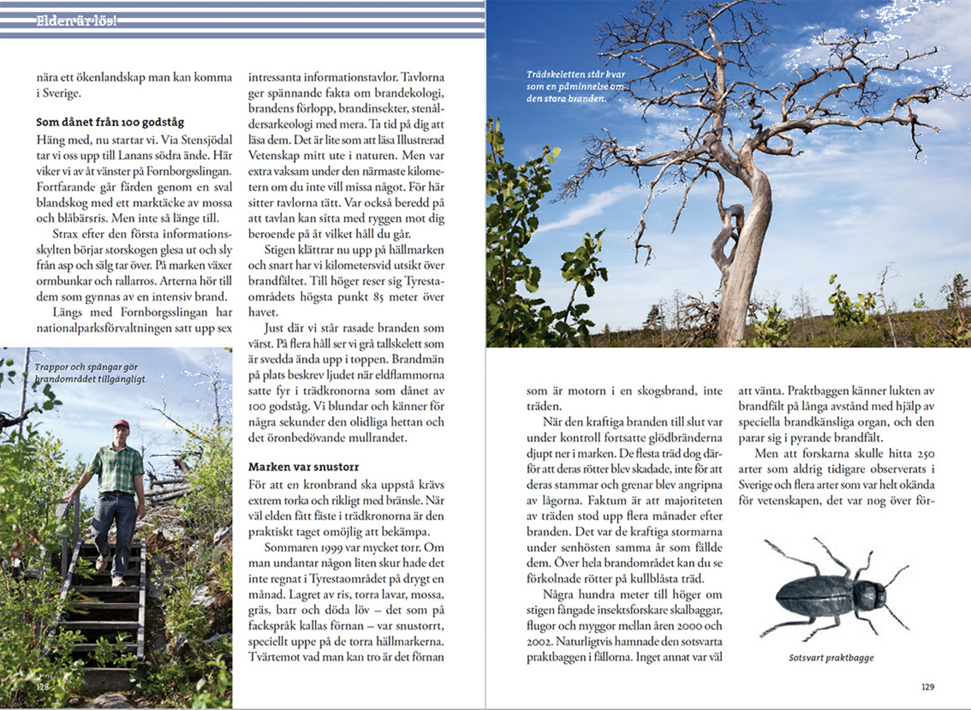 CALAZO, Vandra I Tyresta