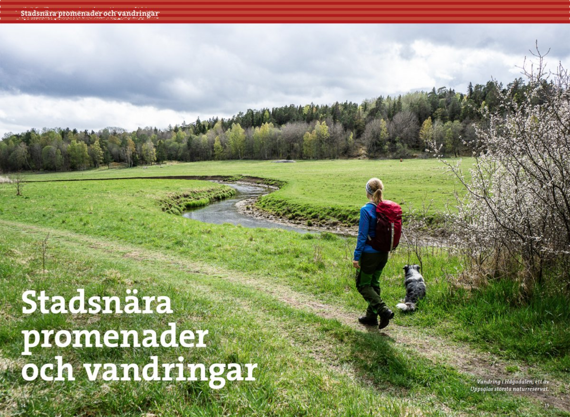 CALAZO, Vandring Kring Uppsala